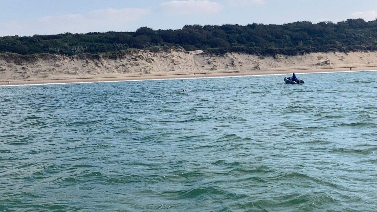 Photo 09-10-2021, 14 16 58.jpg