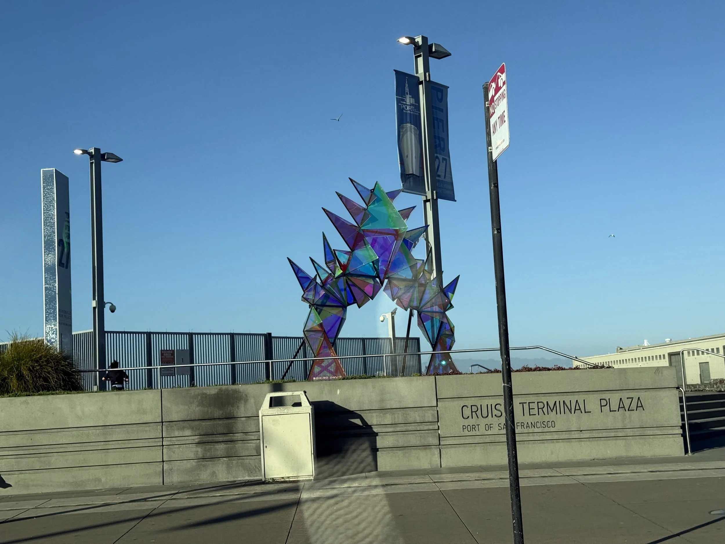 IMG_4781.jpeg