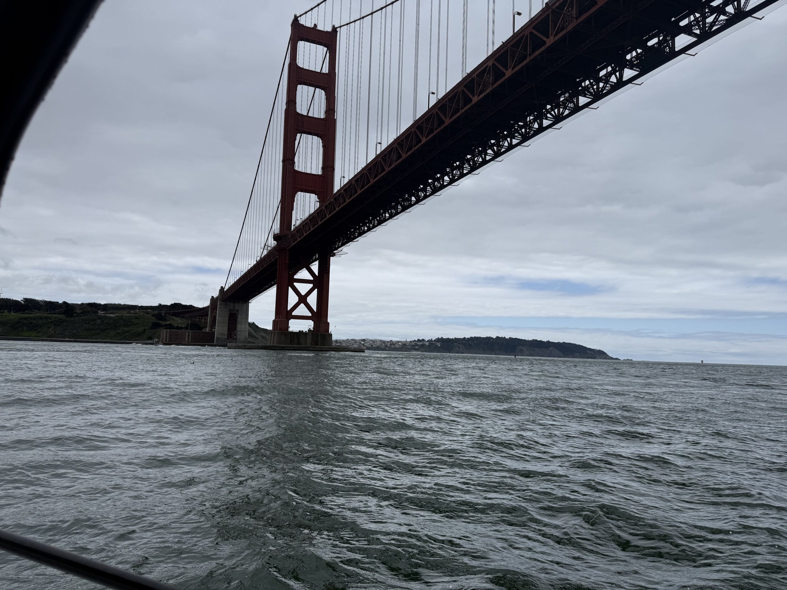 IMG_4648.jpeg