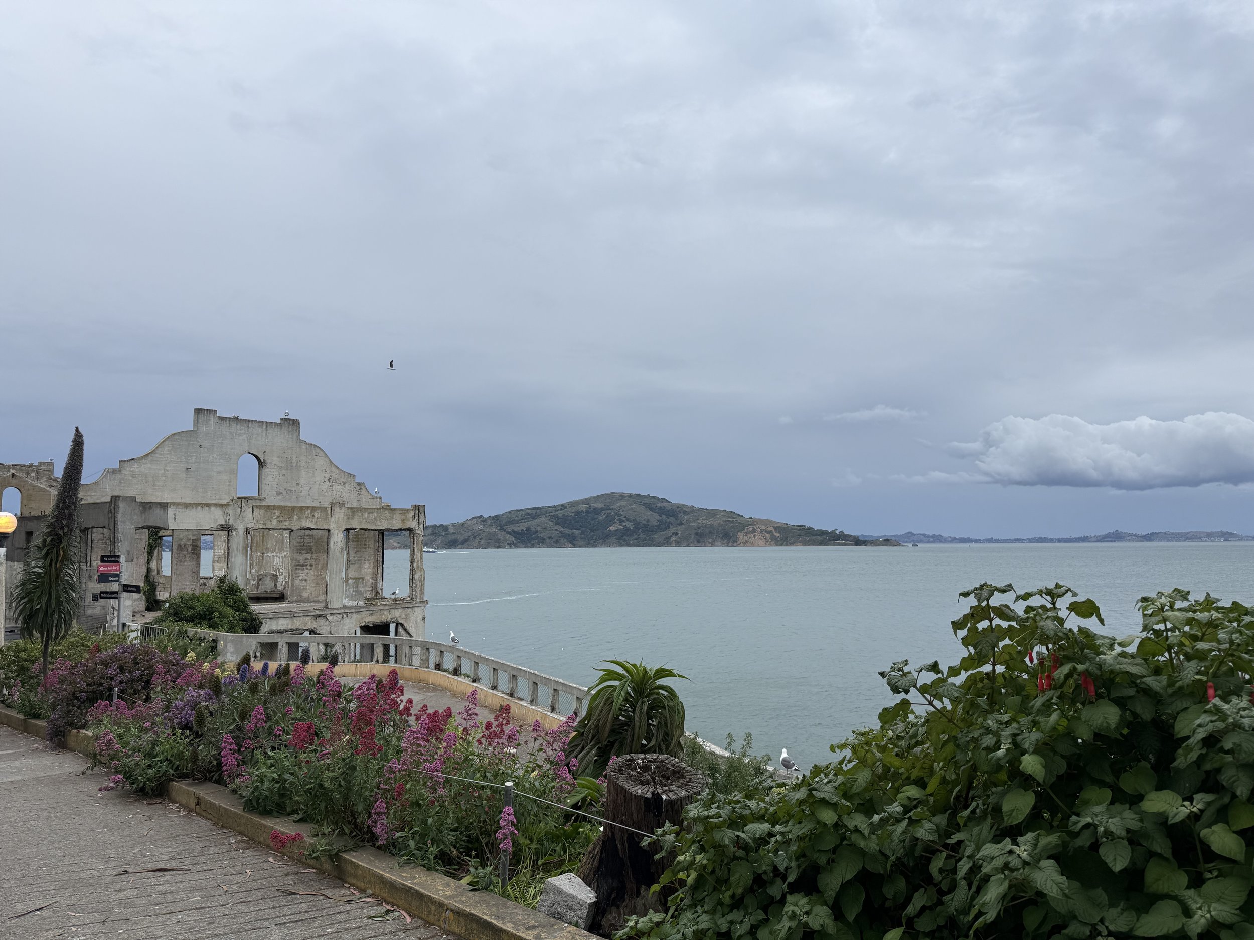 IMG_4630.jpeg