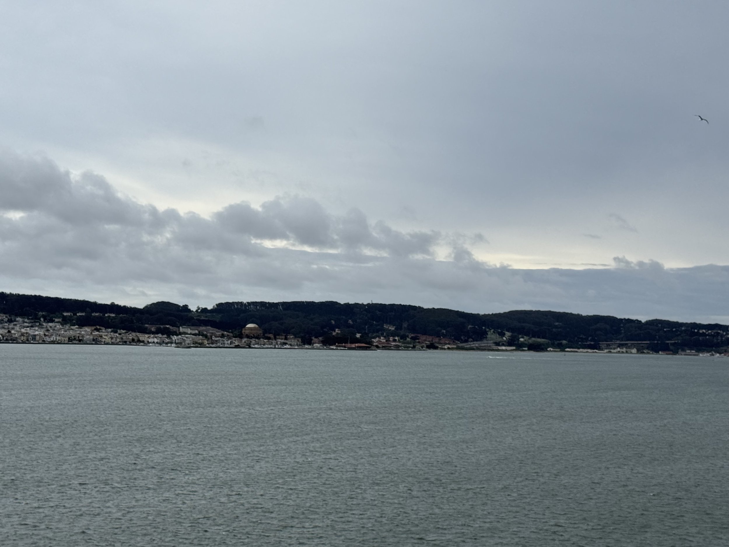IMG_4619.jpeg