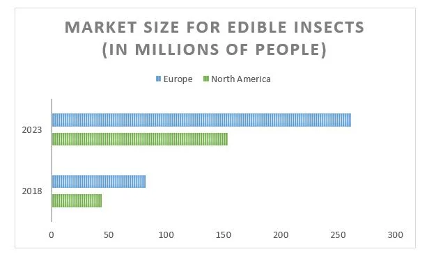 patent_insect.jpg