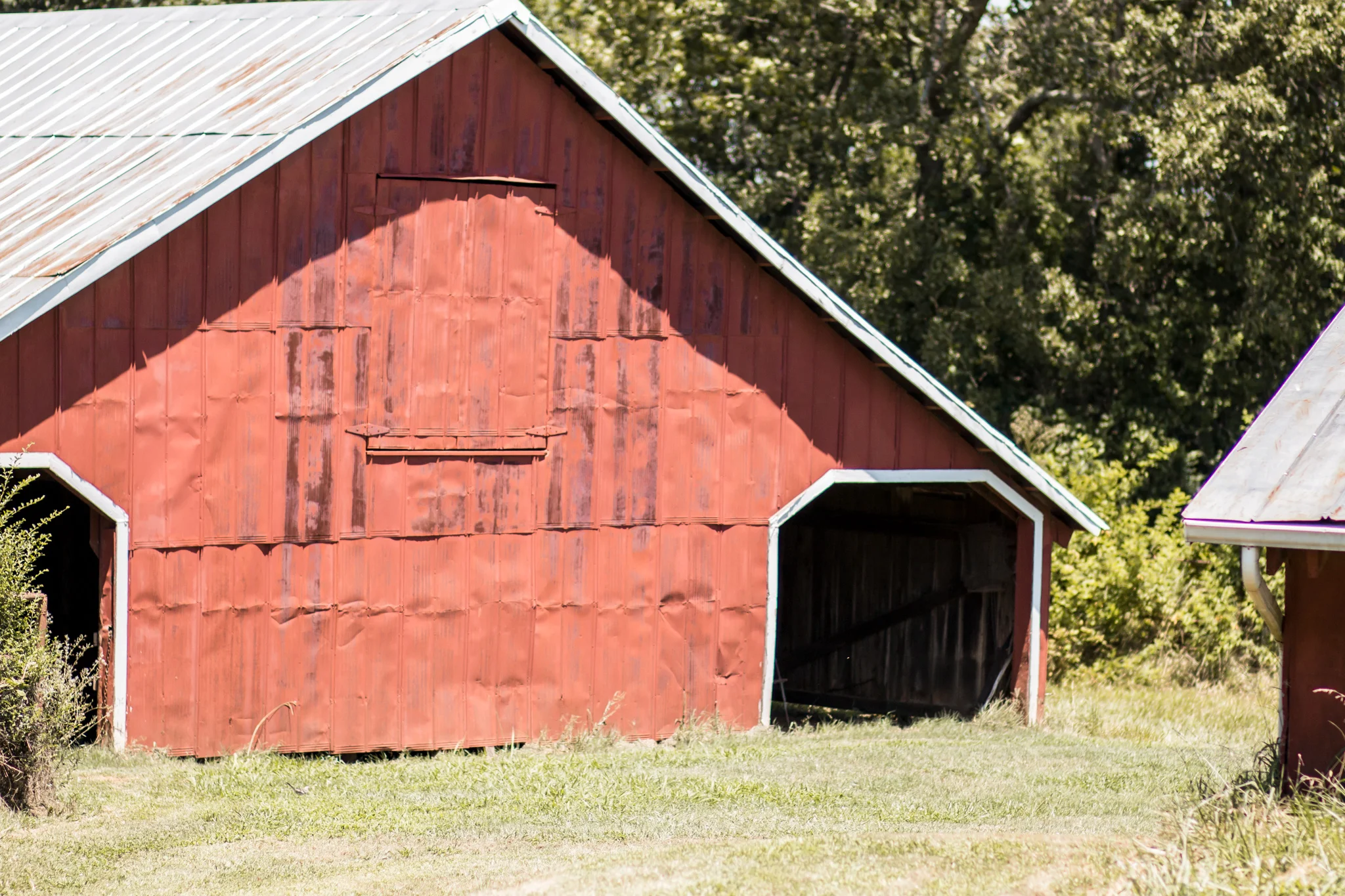 thurman-rd-farm-10.jpg