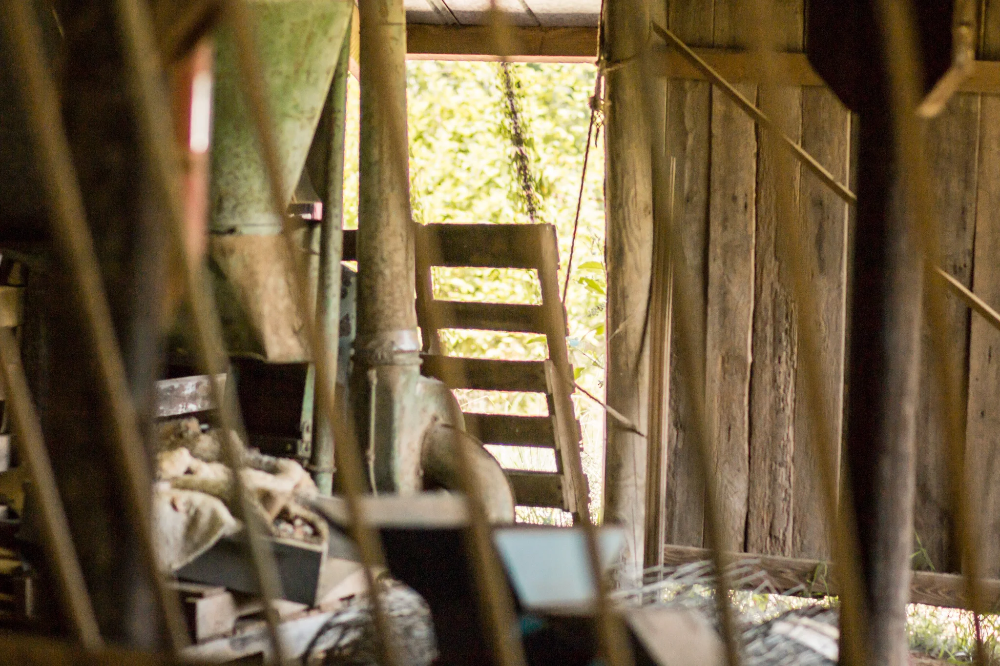 thurman-rd-farm-14.jpg