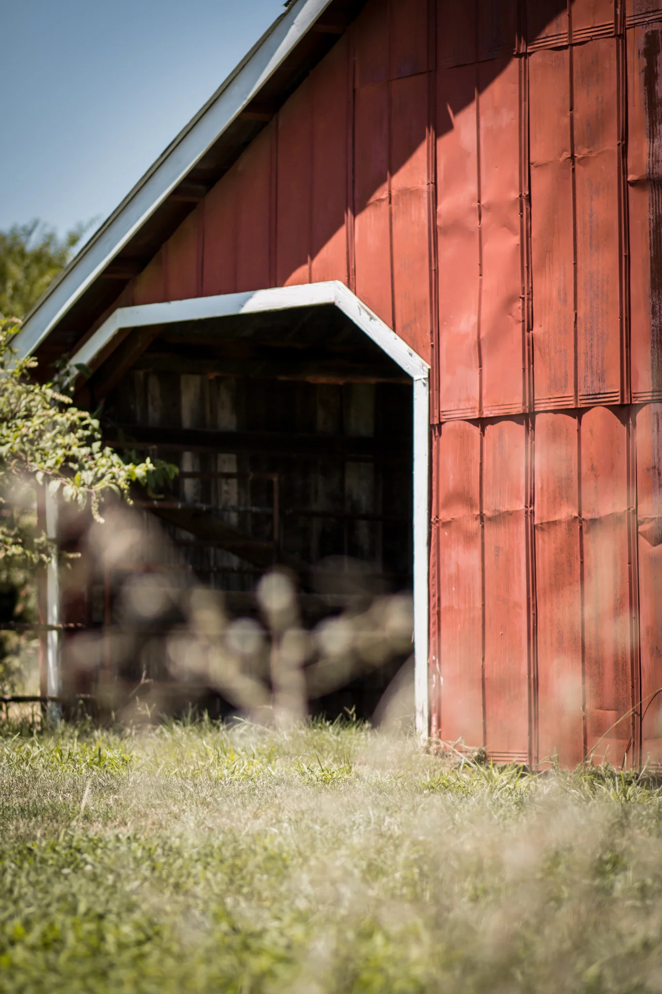 thurman-rd-farm-17.jpg