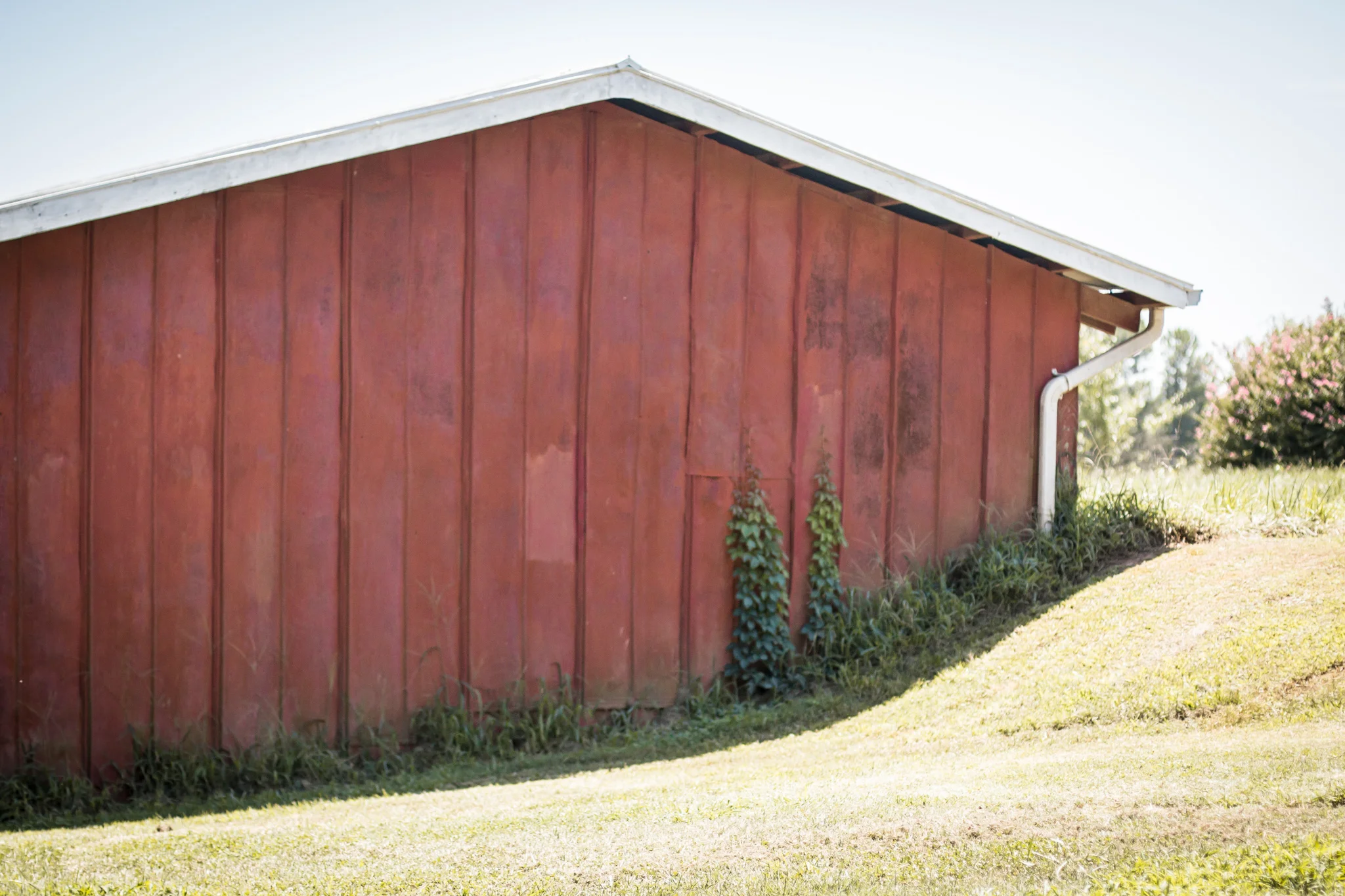thurman-rd-farm-31.jpg