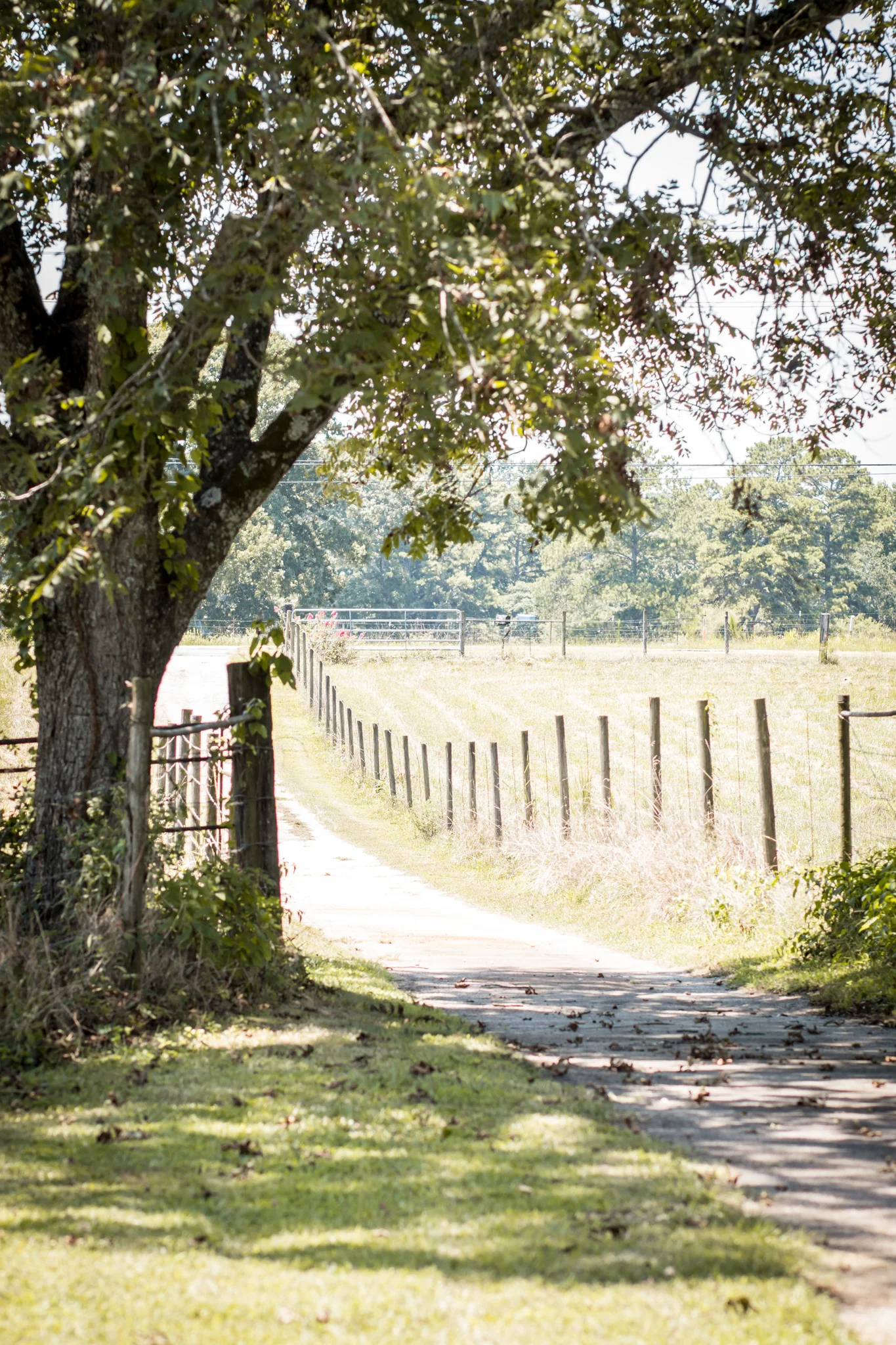 thurman-rd-farm-39.jpg