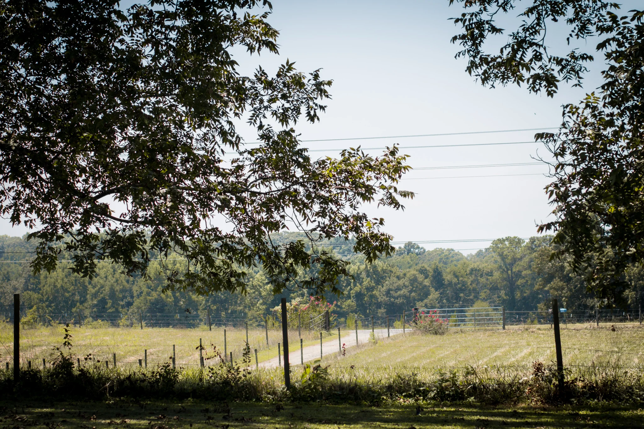 thurman-rd-farm-55.jpg