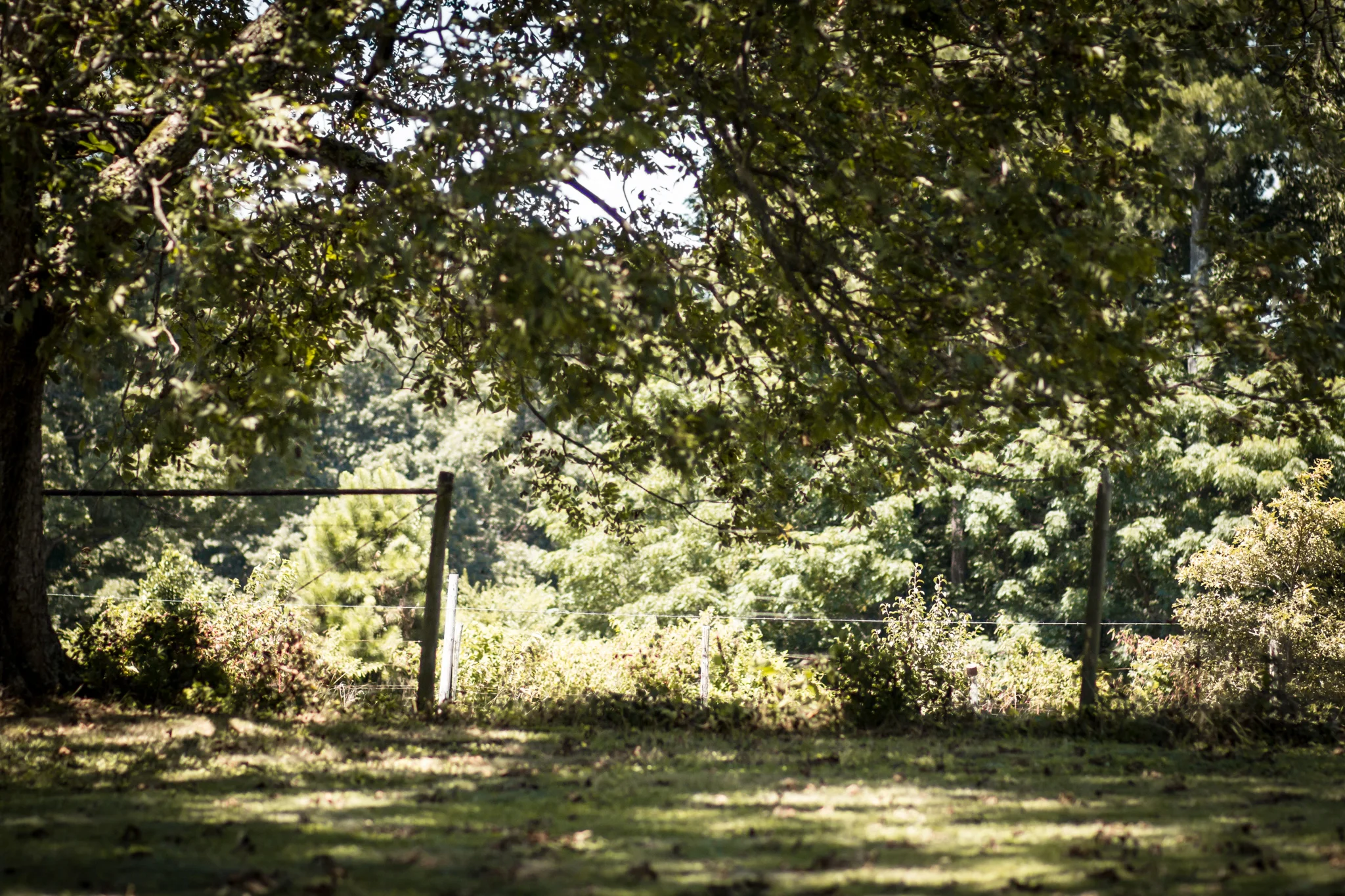 thurman-rd-farm-163.jpg