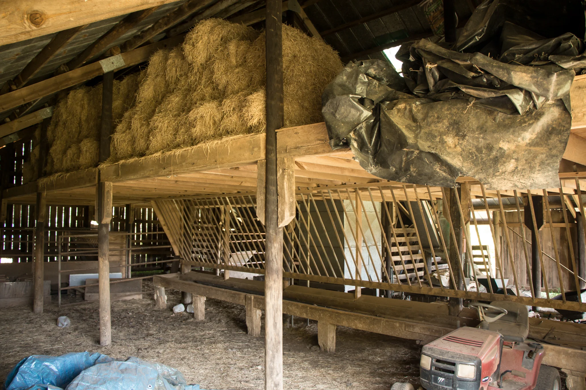 thurman-rd-farm-233.jpg