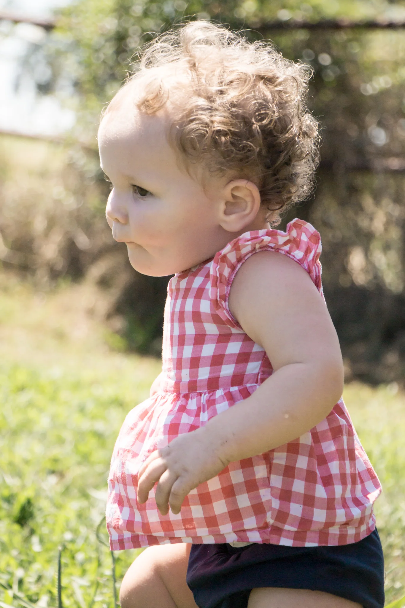 thurman-rd-farm-283.jpg