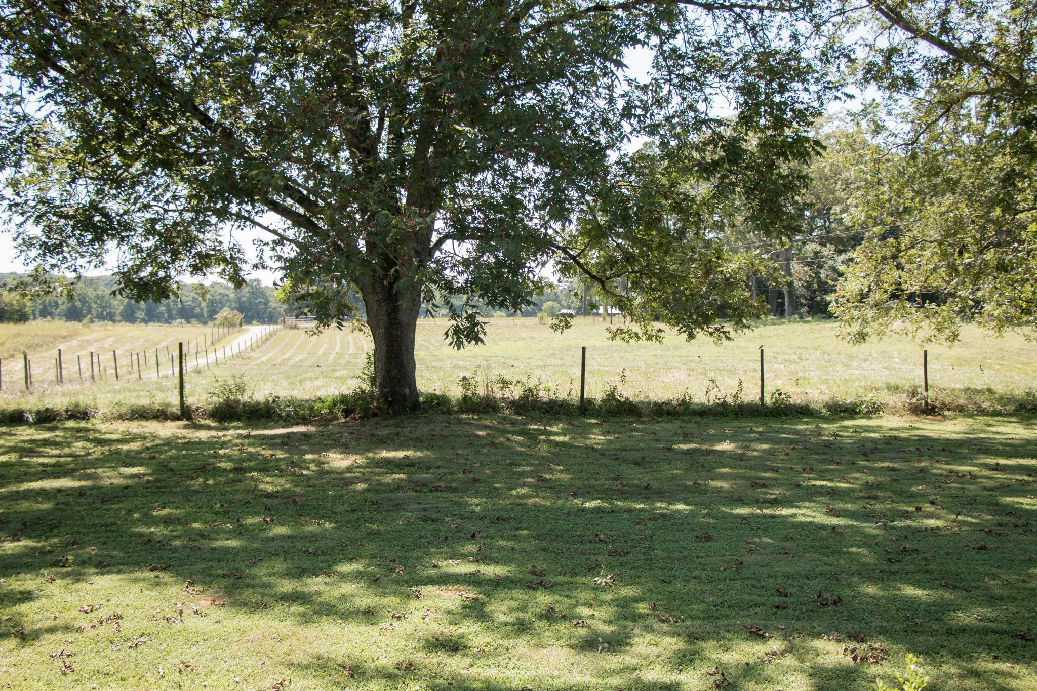 thurman-rd-farm-290.jpg