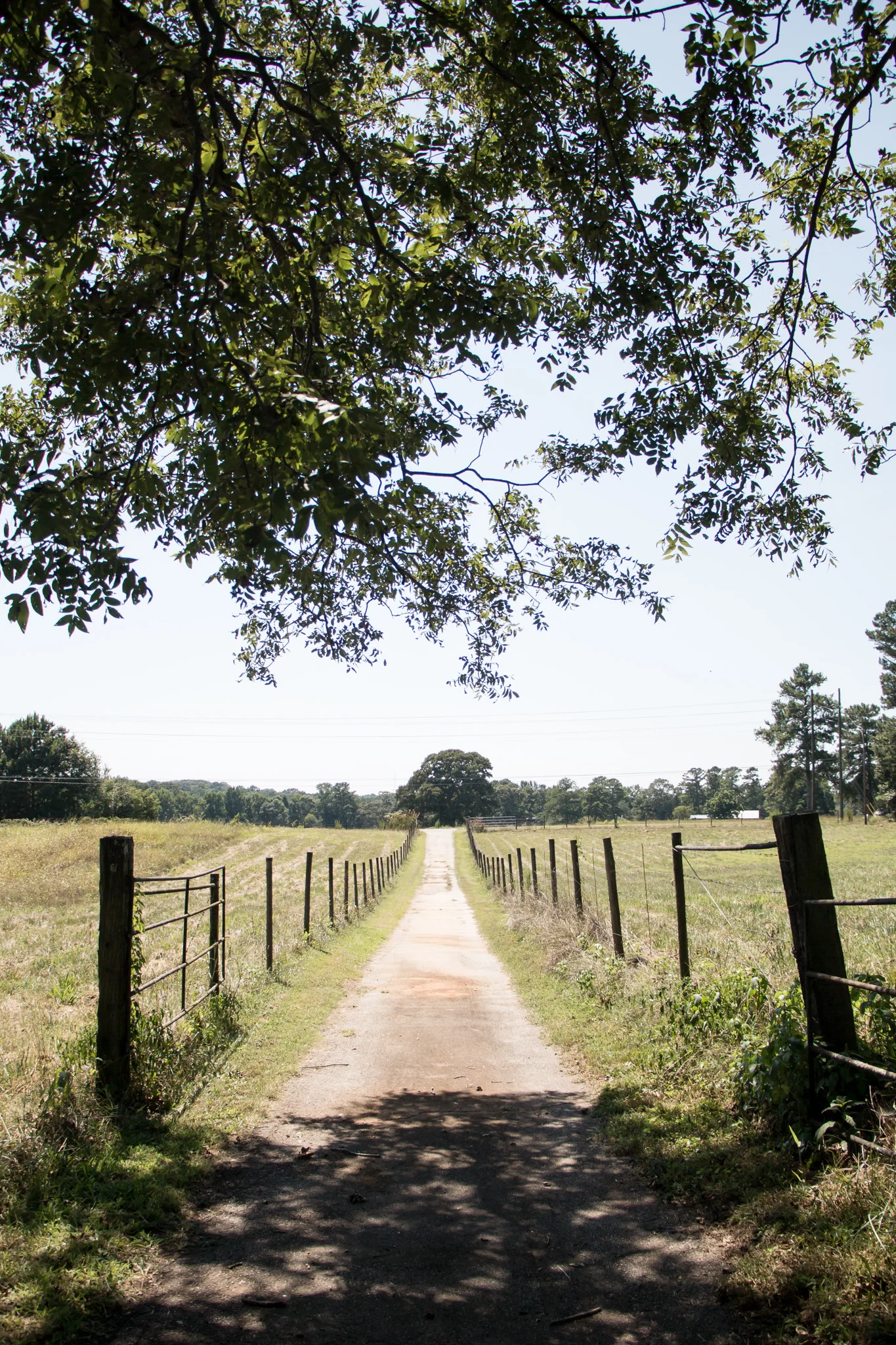 thurman-rd-farm-294.jpg