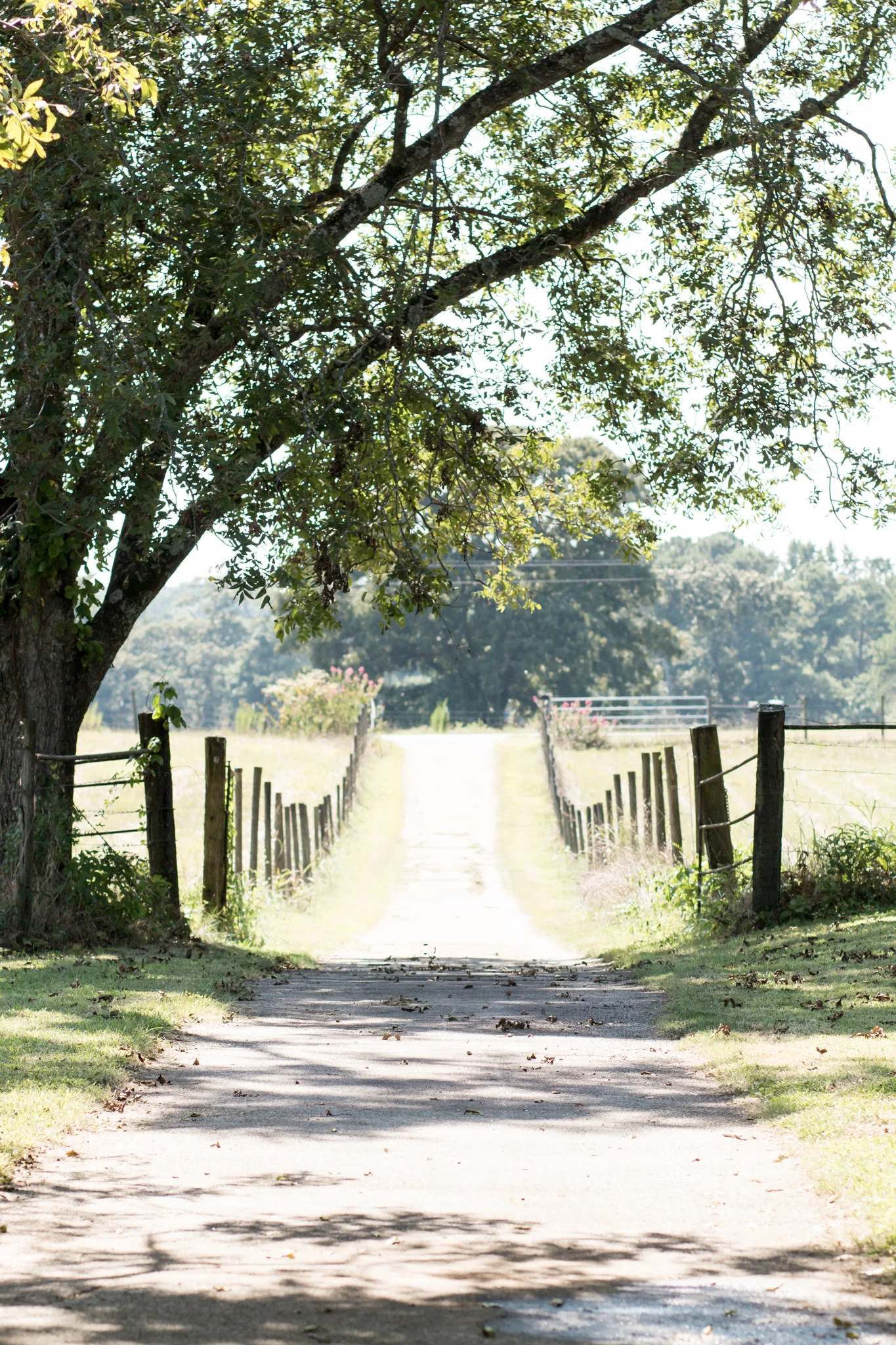 thurman-rd-farm-378.jpg