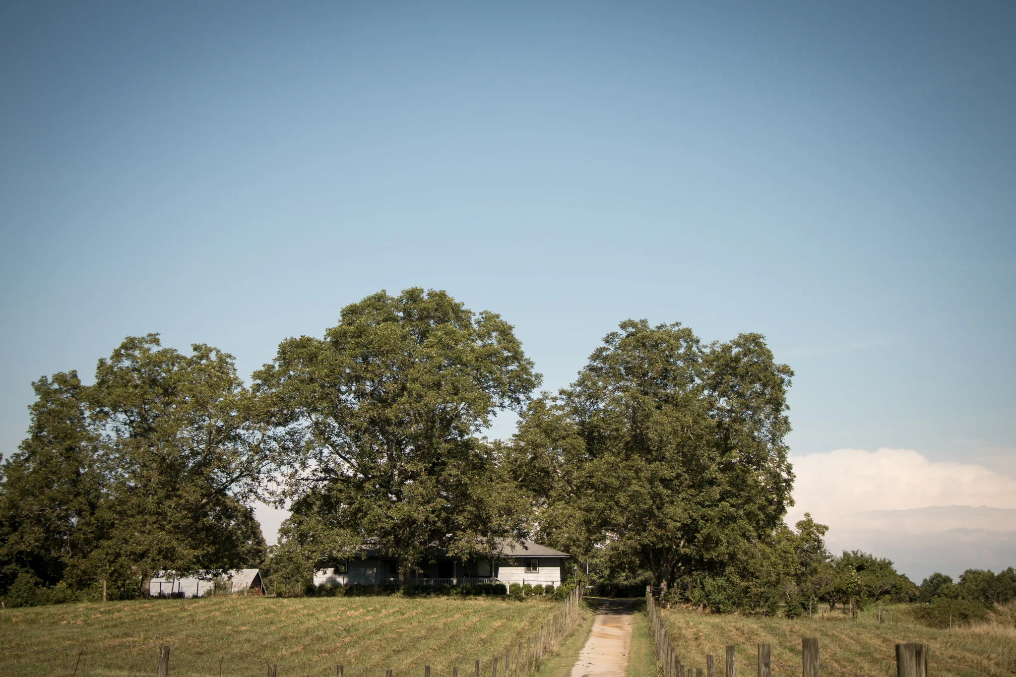 thurman-rd-farm-506.jpg