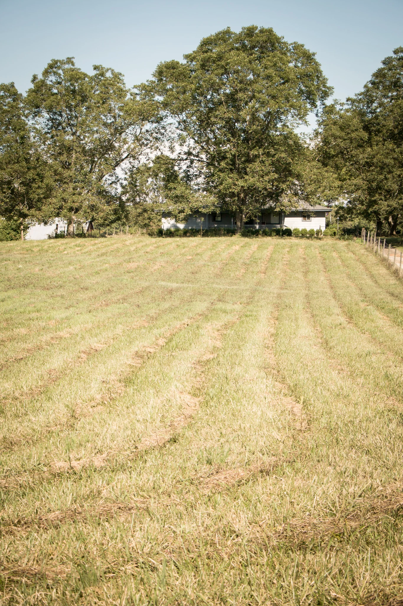 thurman-rd-farm-507.jpg