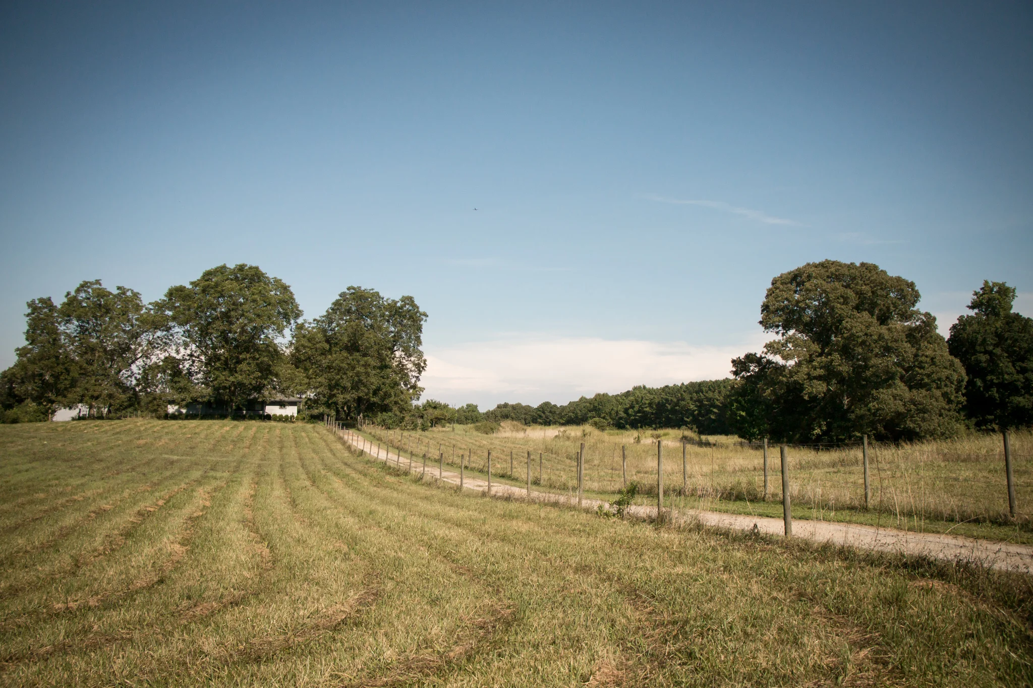 thurman-rd-farm-510.jpg
