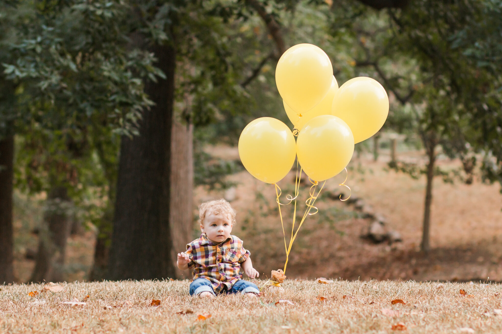 WEB-Carter-Ladd-One-Year-1.jpg