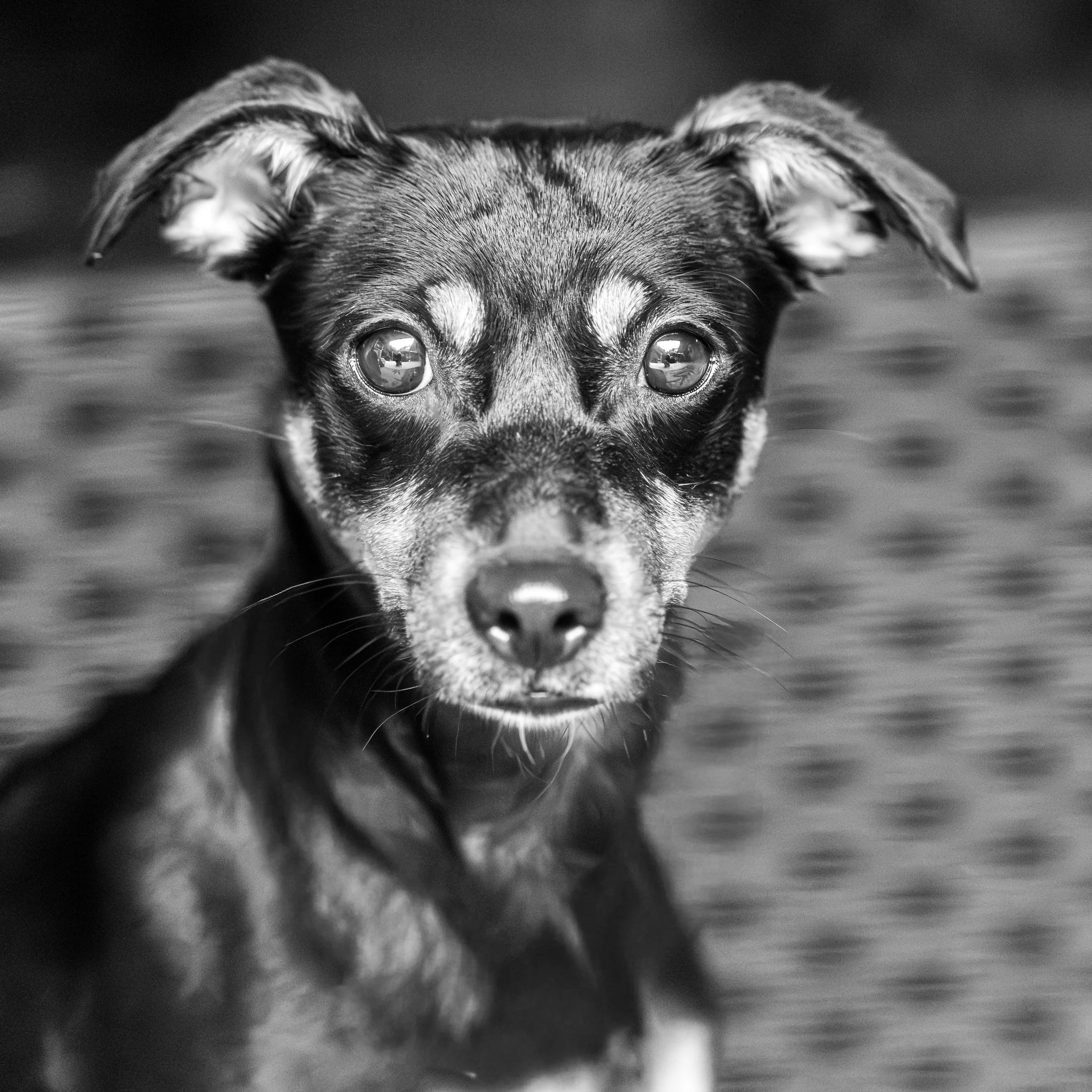 Ethel19Jun202654.jpg