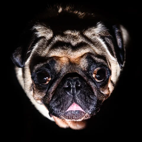 Mr_Big11May15-14-Edit.jpg