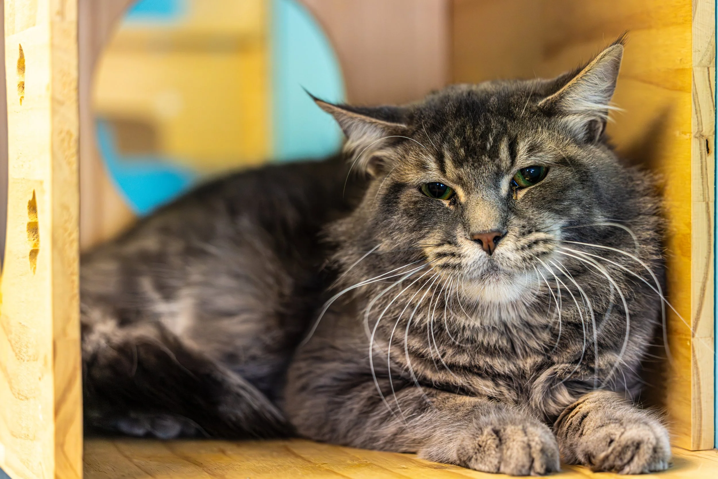 Kip Grady28Feb20265.jpg