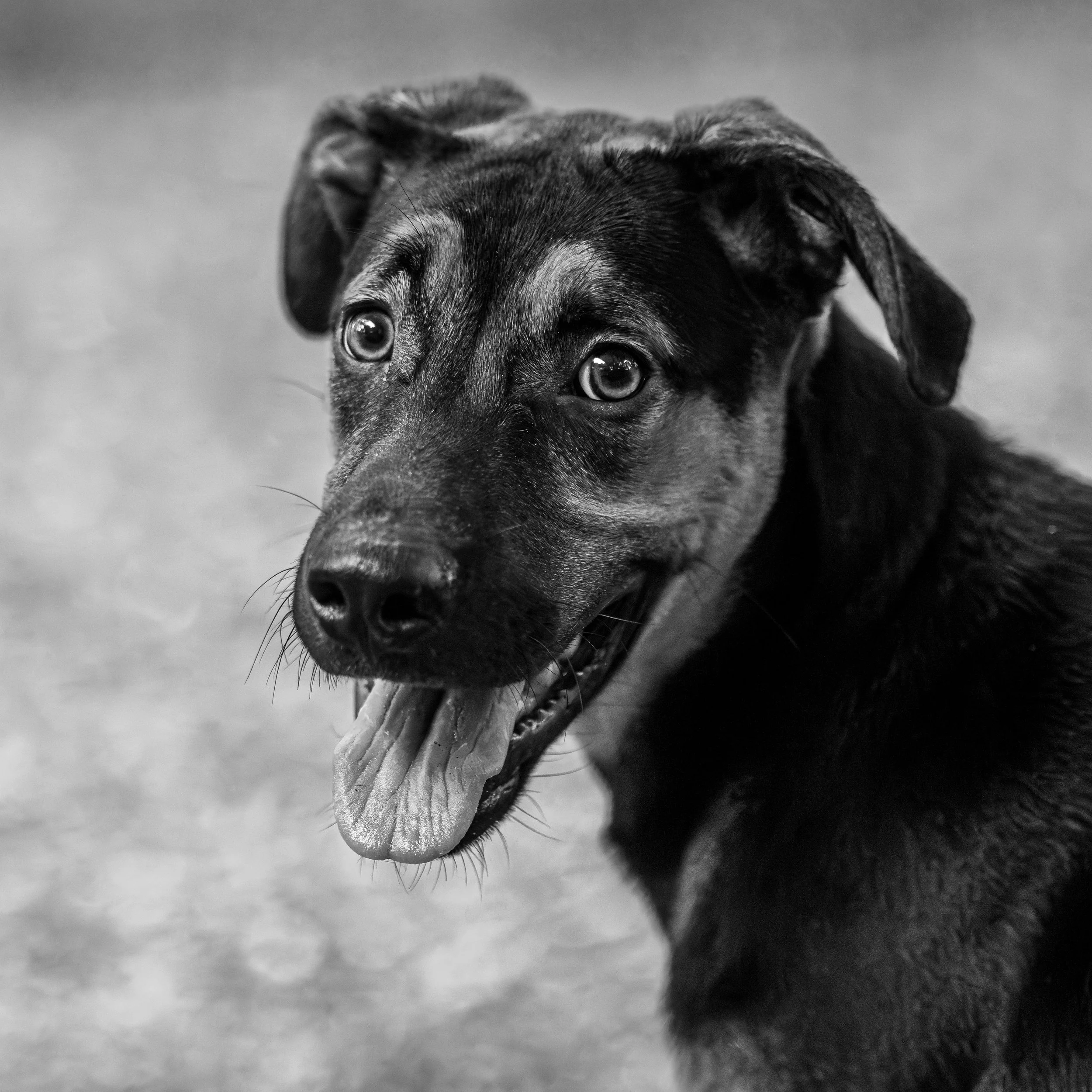 Junior Mint27April202495-Enhanced-NR.jpg