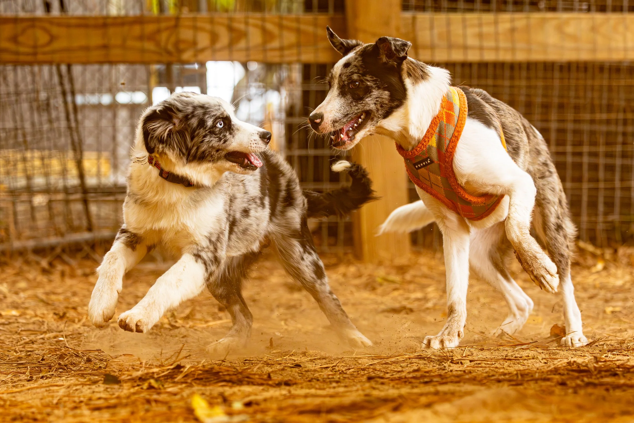 Speak Party18Oct20251307.jpg