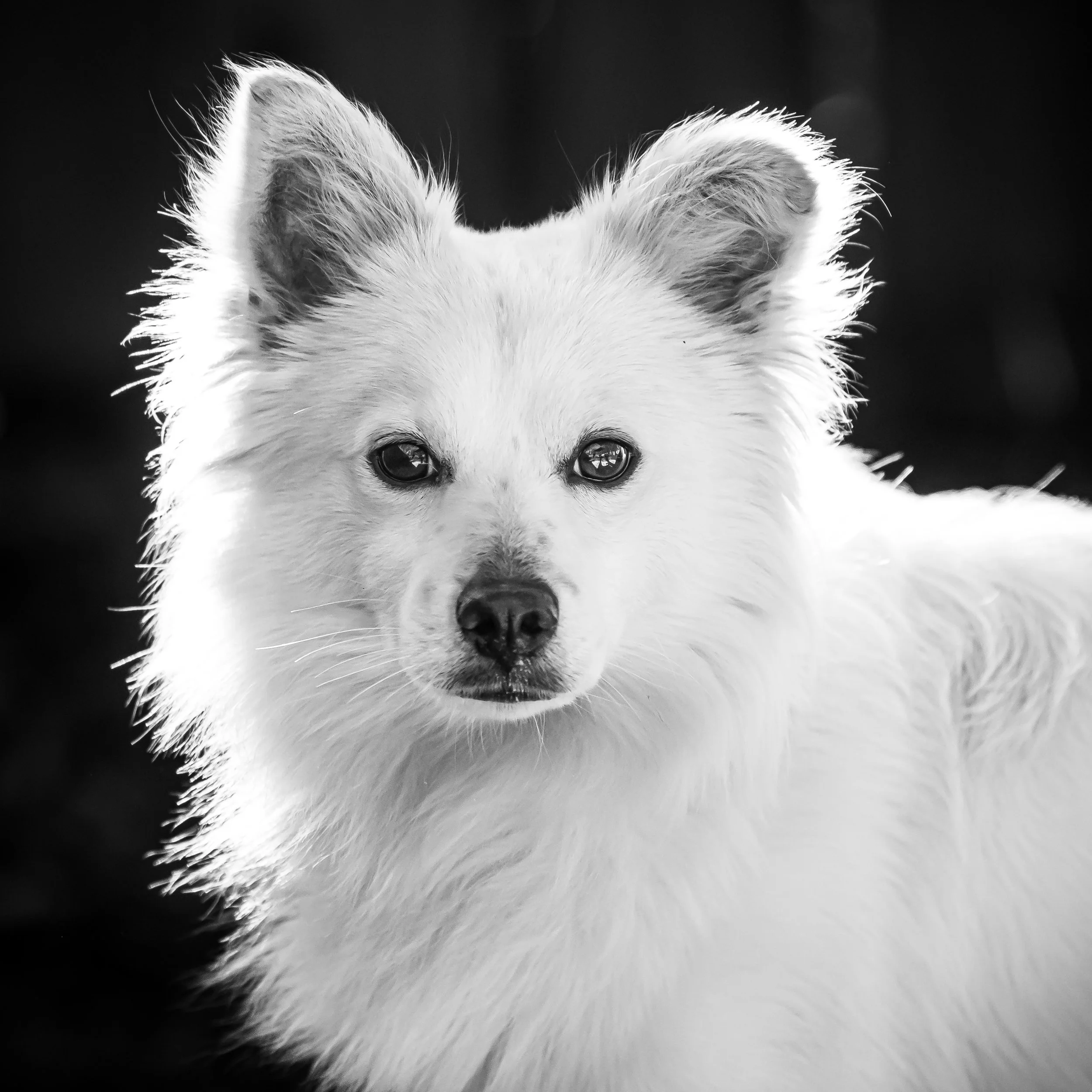 Tail Spin07Jan2023006.jpg