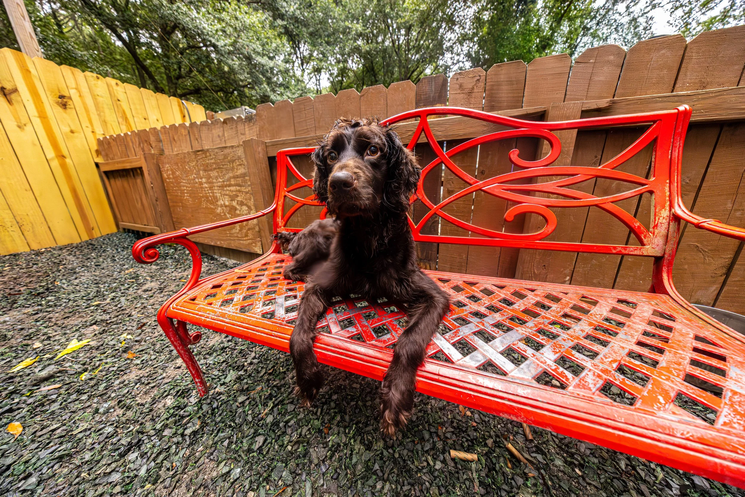 Duke of Earl02Aug2025117-Edit.jpg