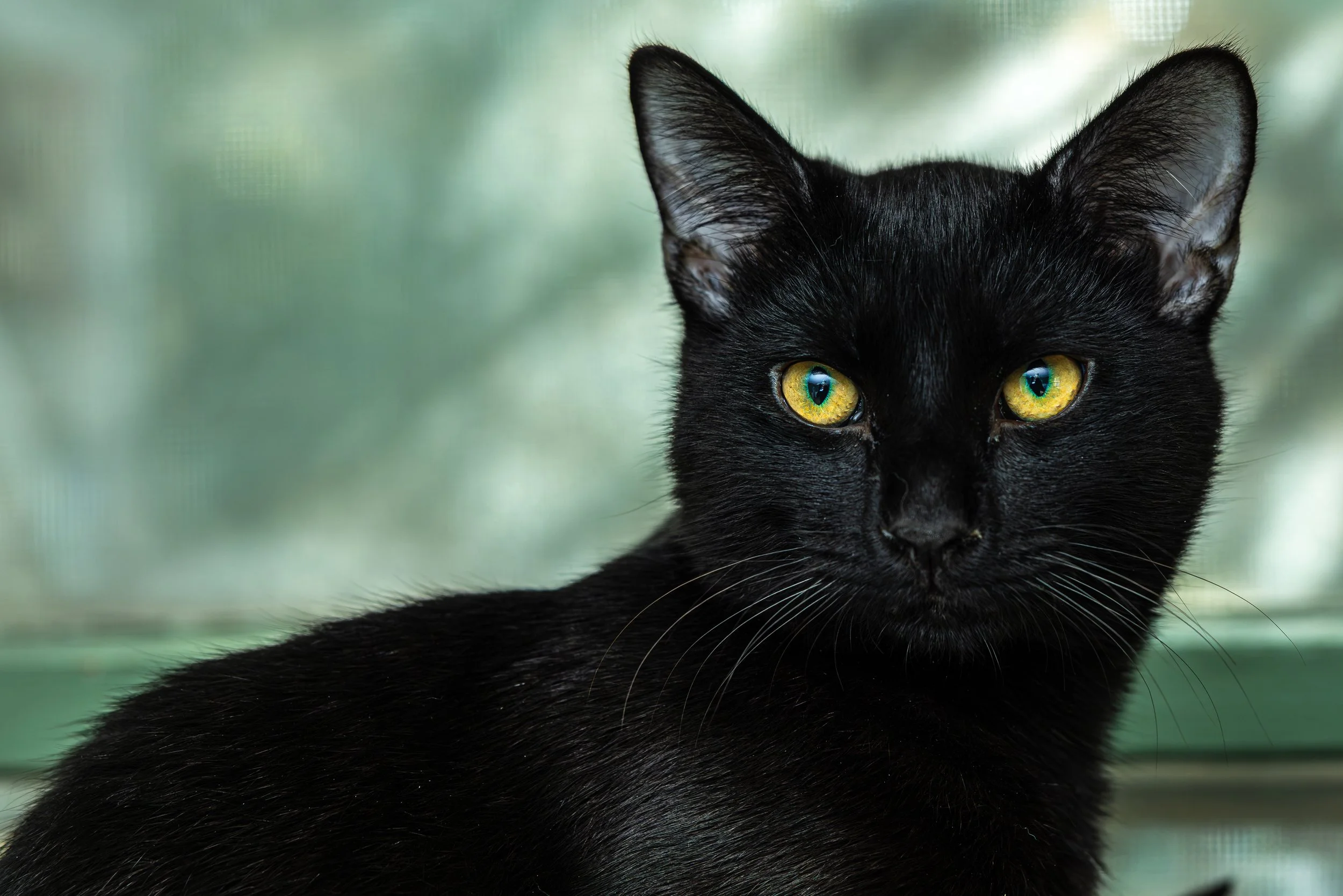 The Electric slide28October2023018.jpg