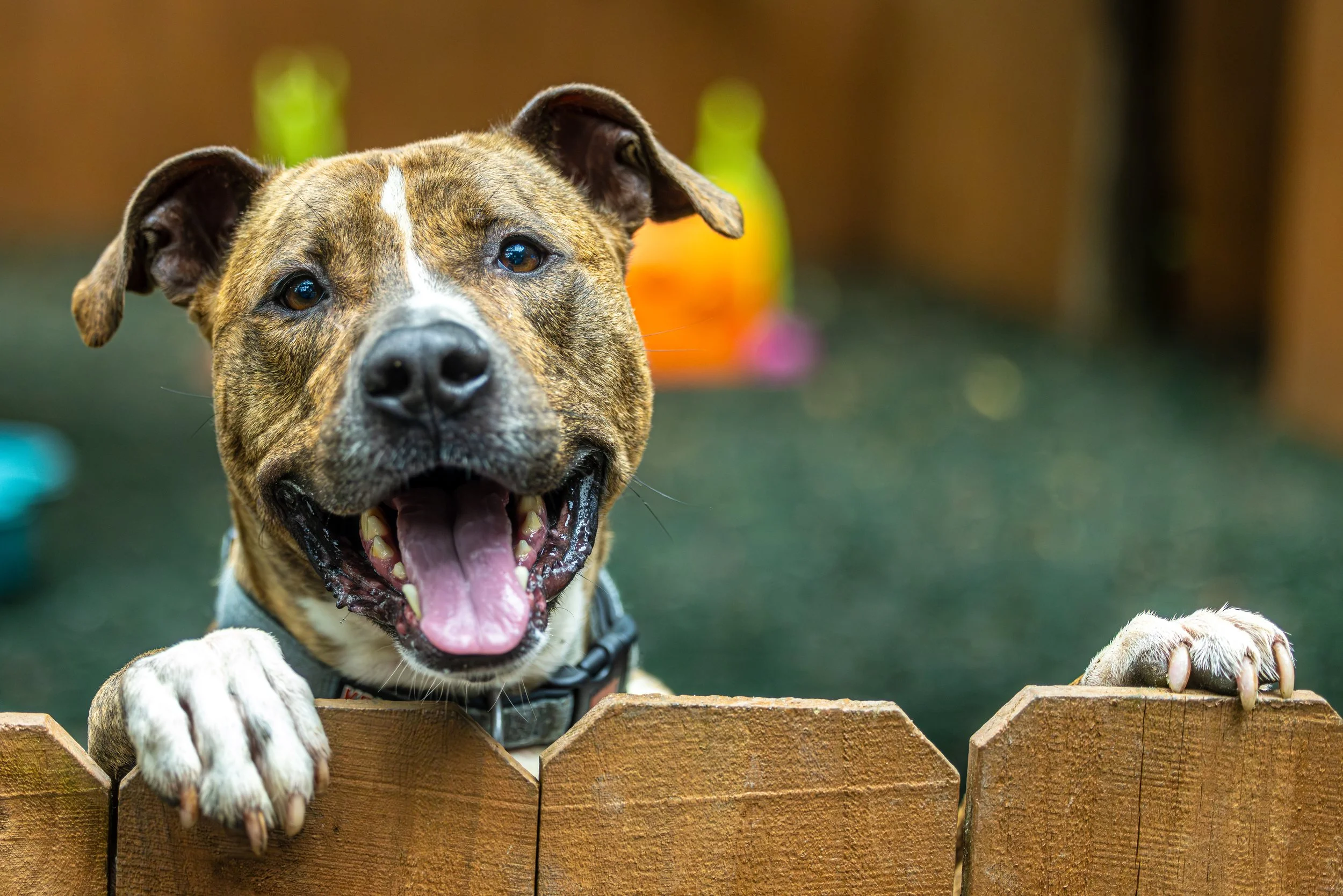 Flip Flop20July202451-Enhanced-NR.jpg