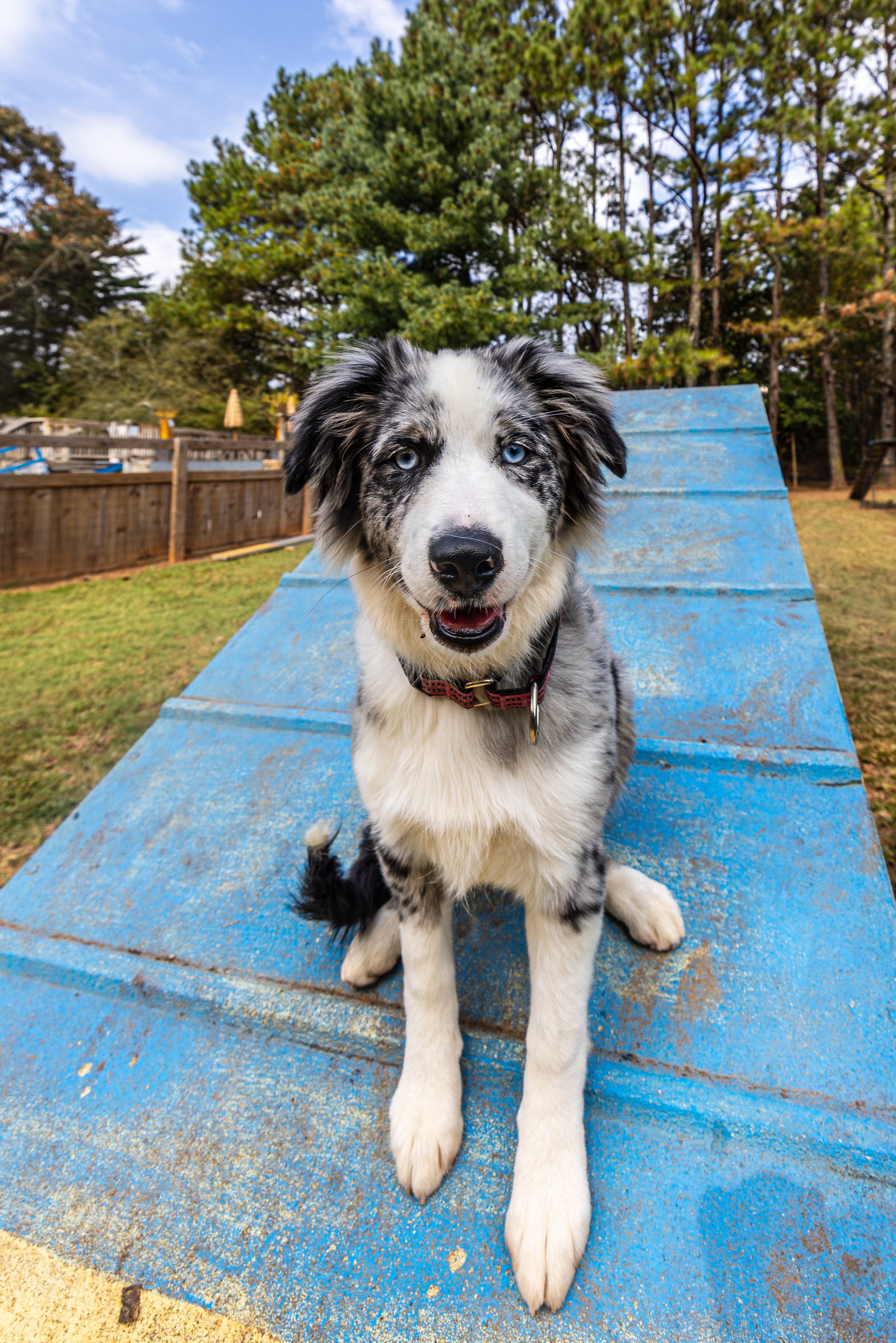 Speak Party18Oct2025887.jpg