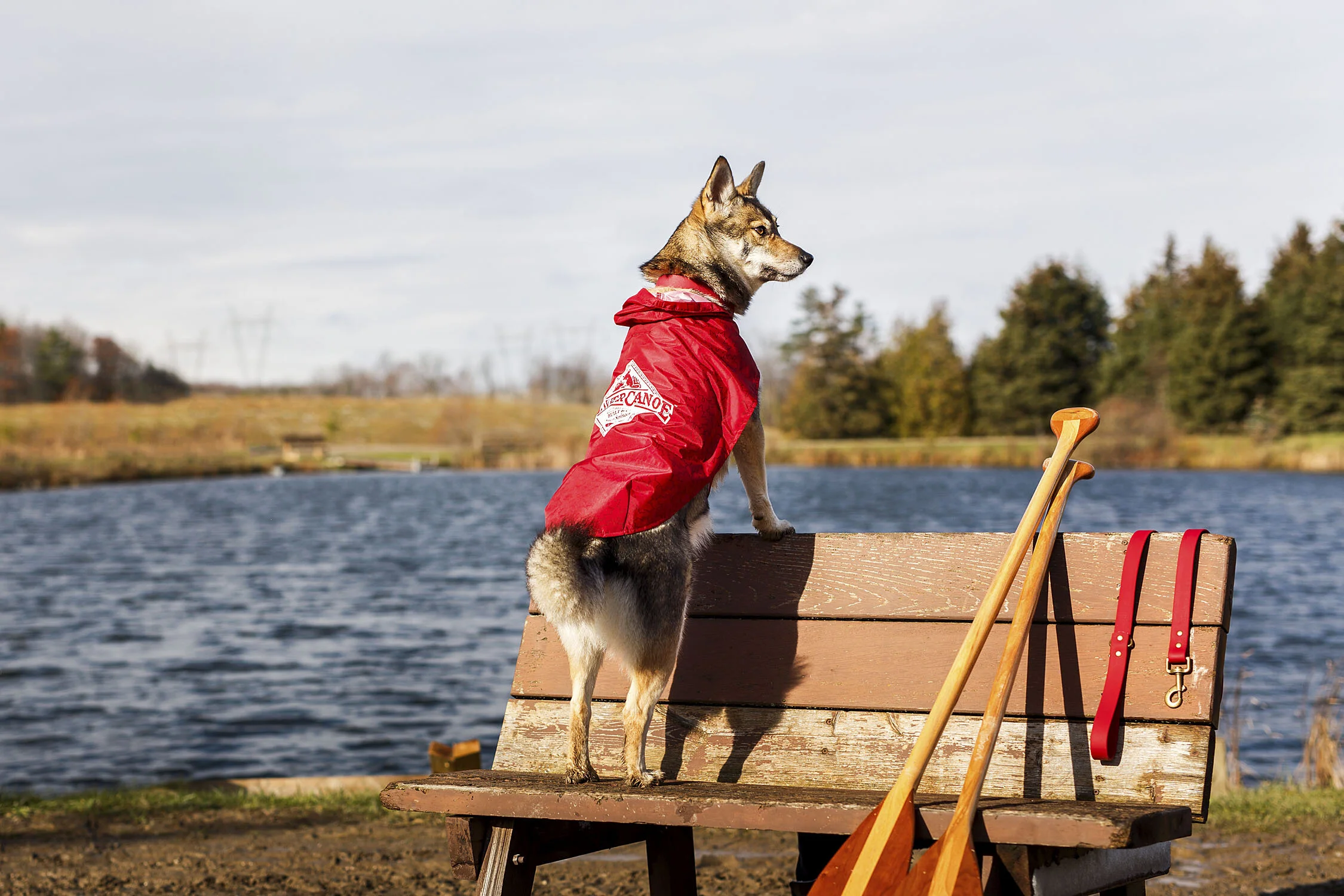 Beaver Canoe Dog Photography & Video Campaign — Worker Bee Supply