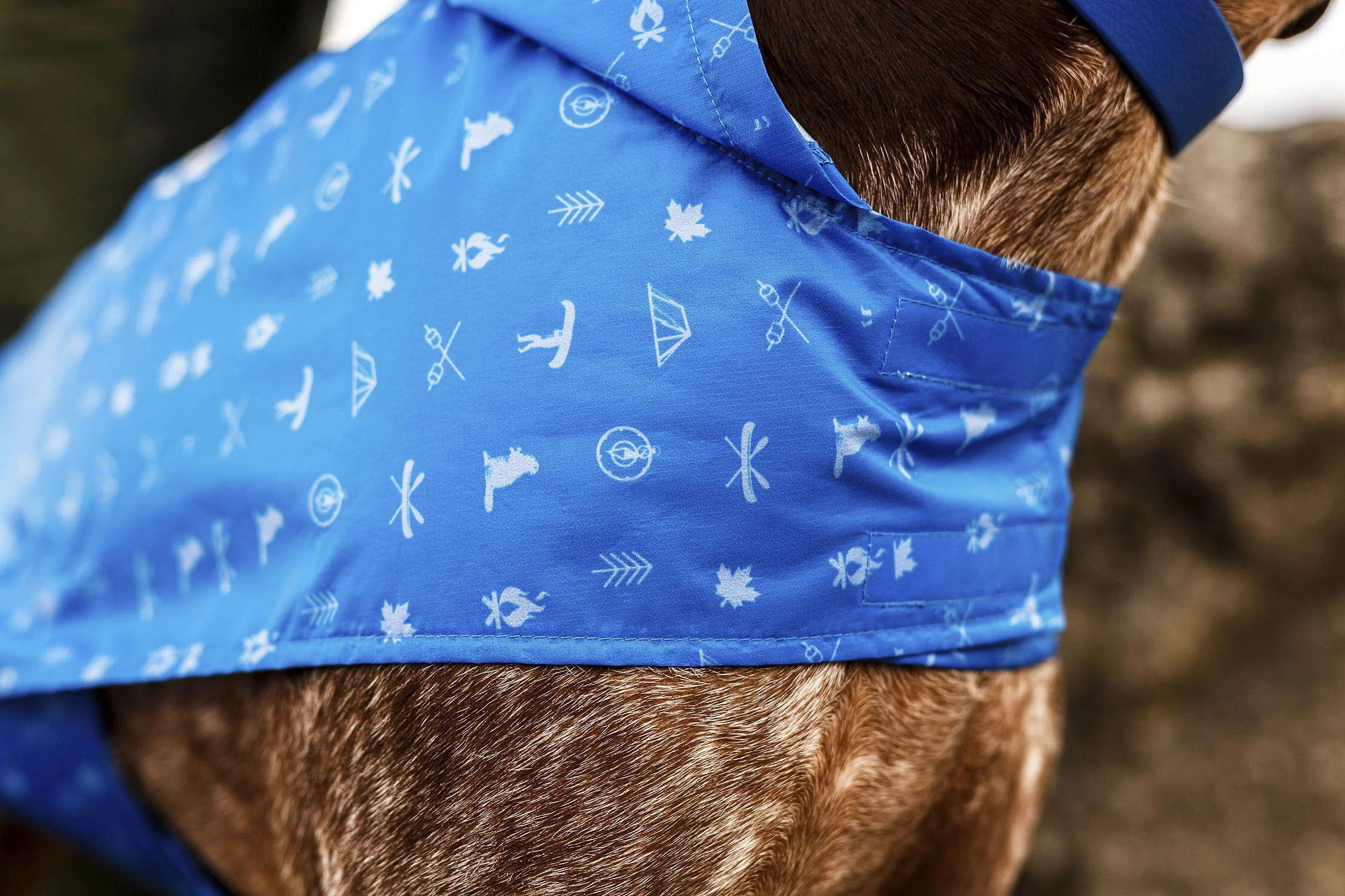 Beaver Canoe Dog Photography & Video Campaign — Worker Bee Supply