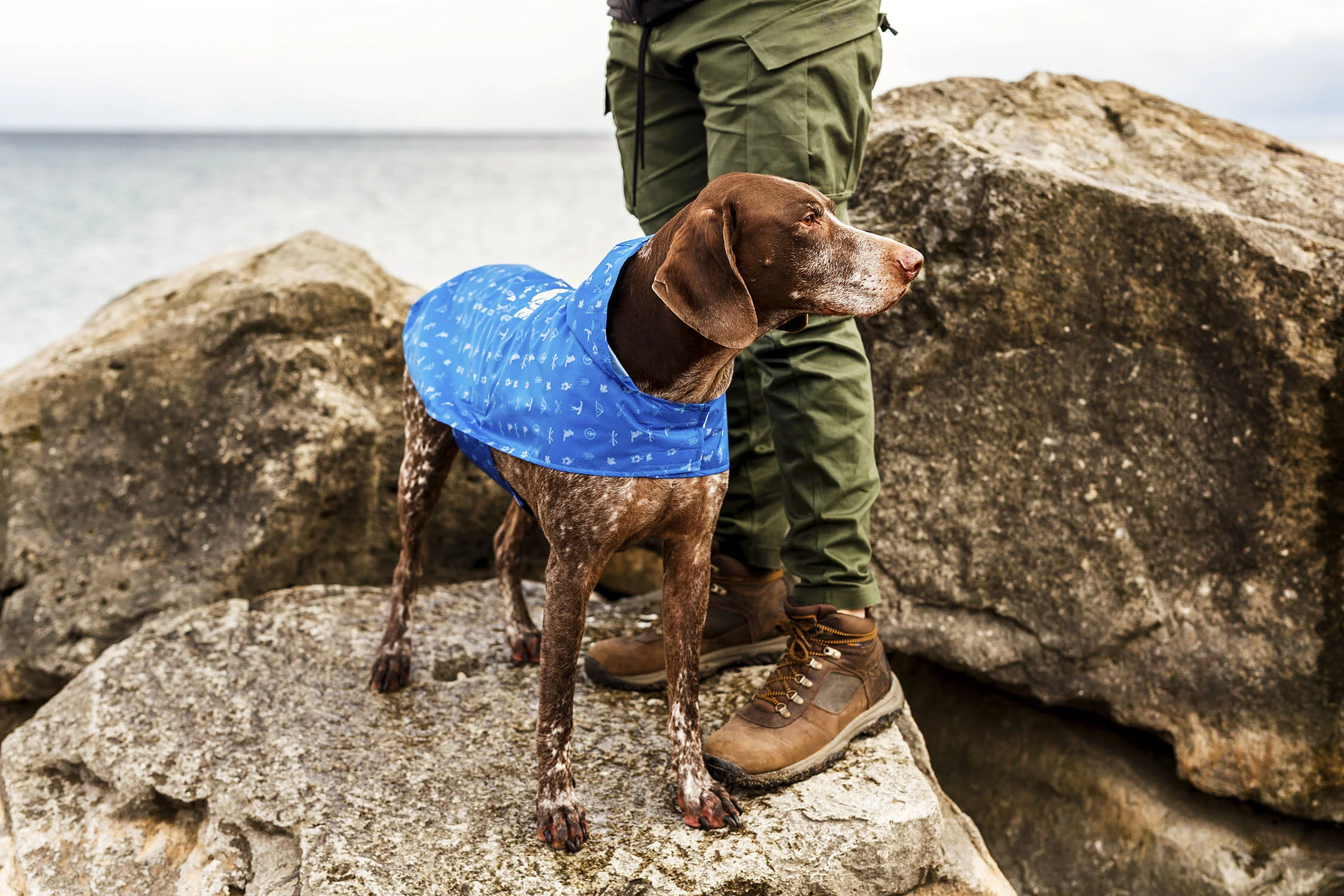 Beaver Canoe Dog Photography Video Campaign Worker Bee Supply