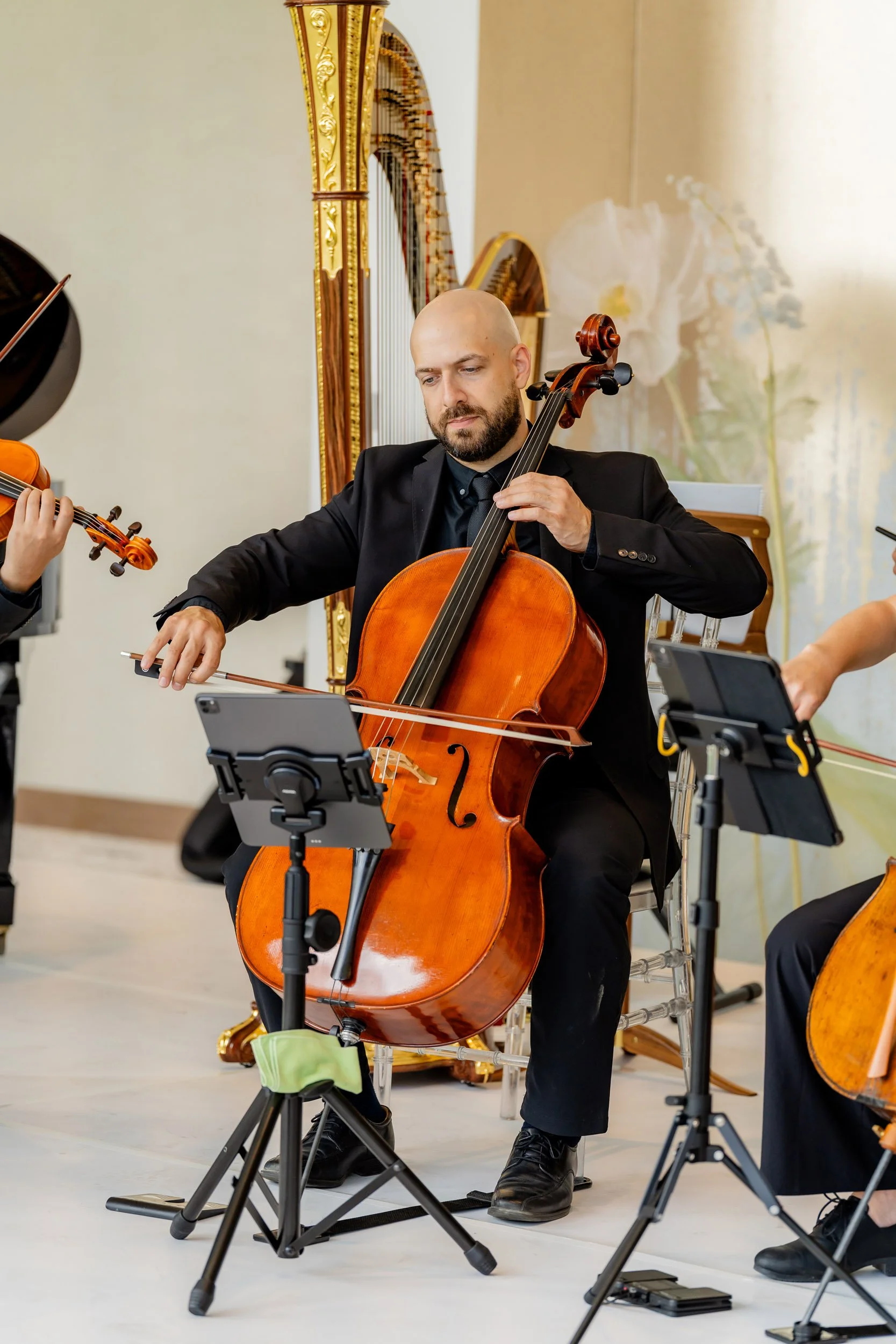 Best performing arts photography Toronto