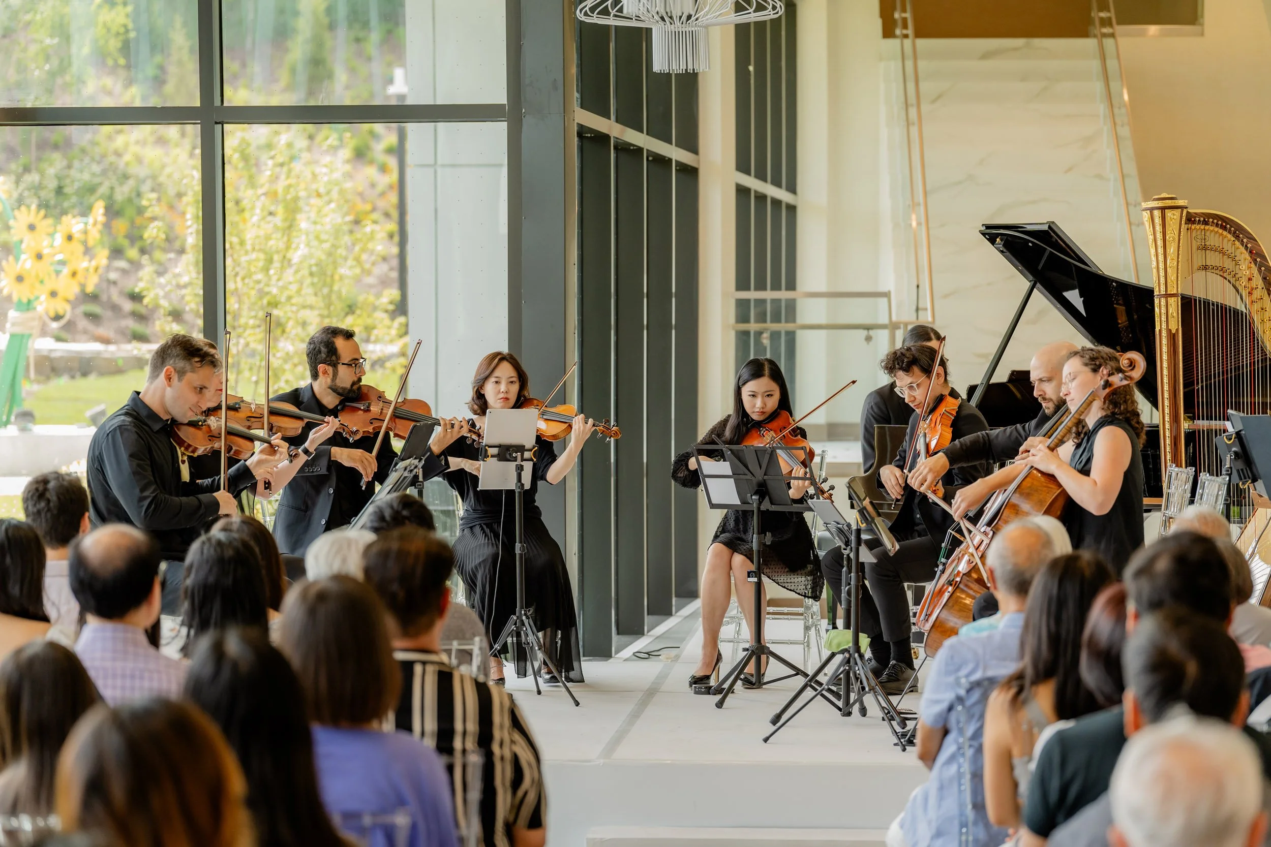 Music performance photography Southern Ontario