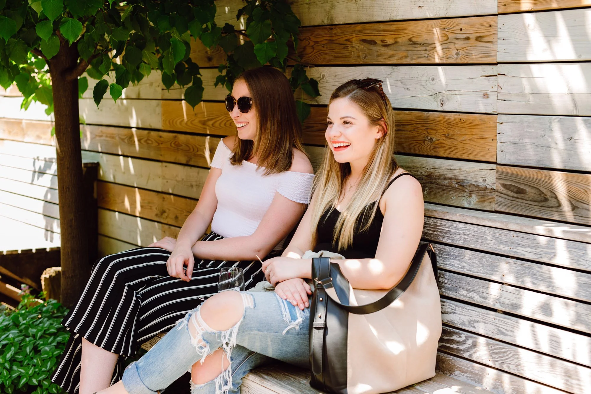 Natural event photography in Toronto