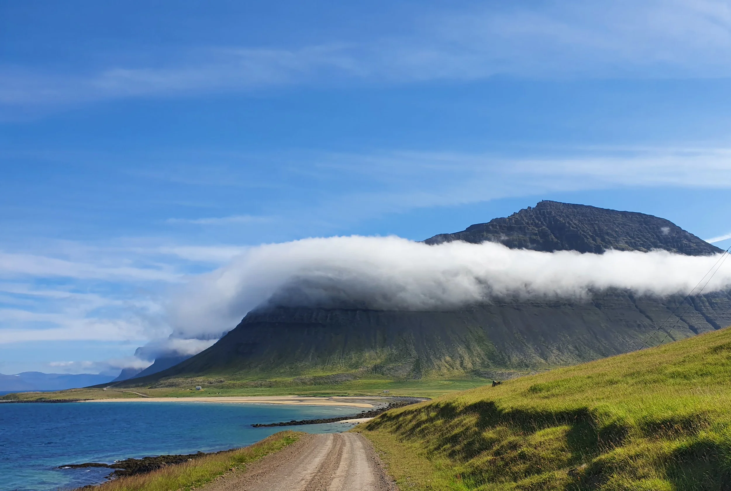 2021-08-13 15.26.49 (Liz Gammon's conflicted copy 2025-02-26).jpg