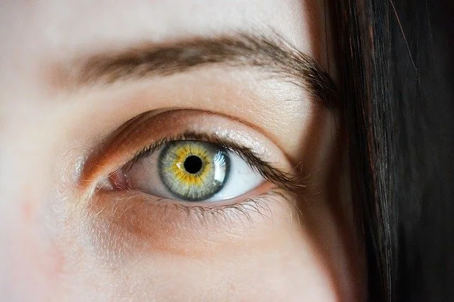 Eyewitness testimony
