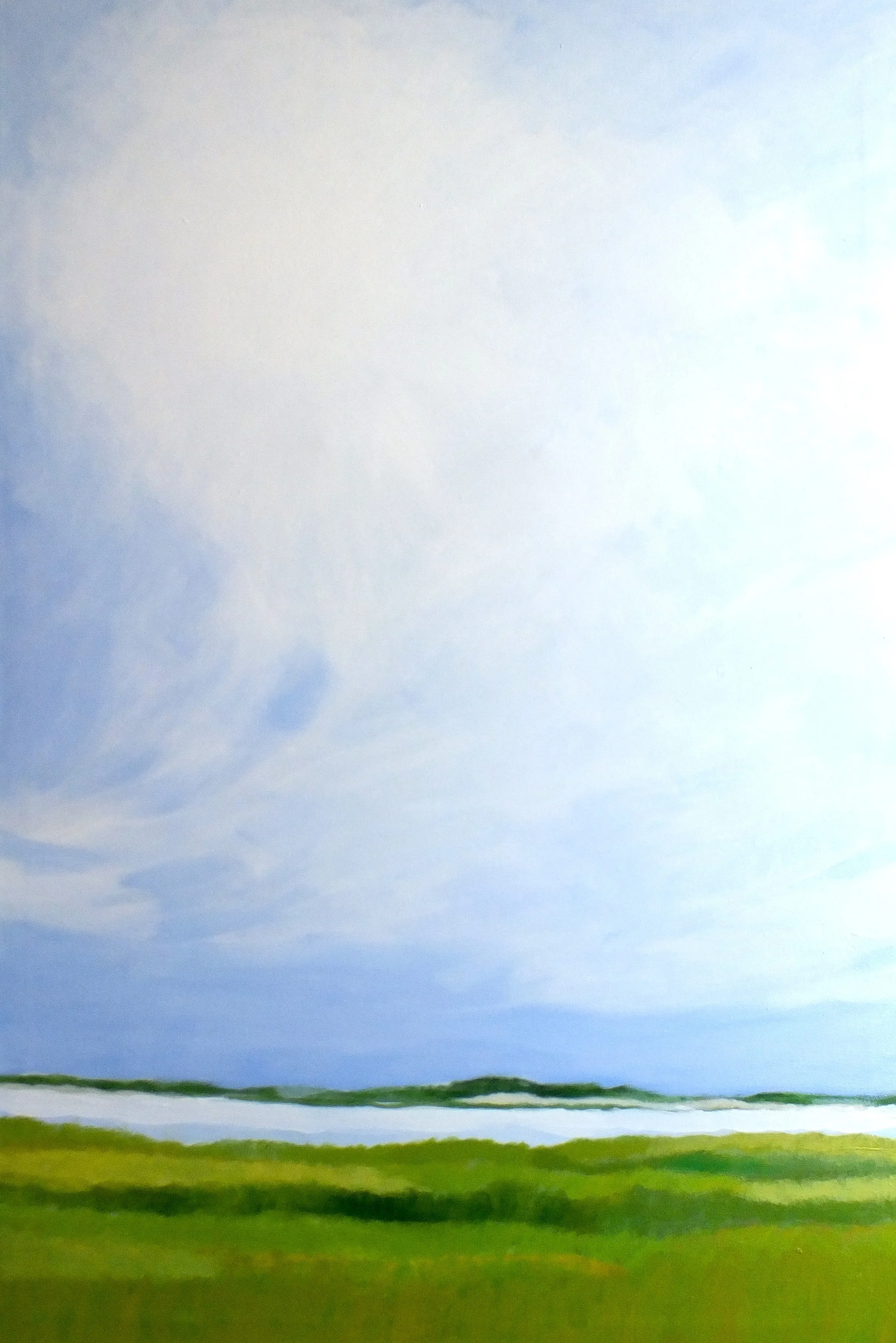 hamonasset marsh.jpg