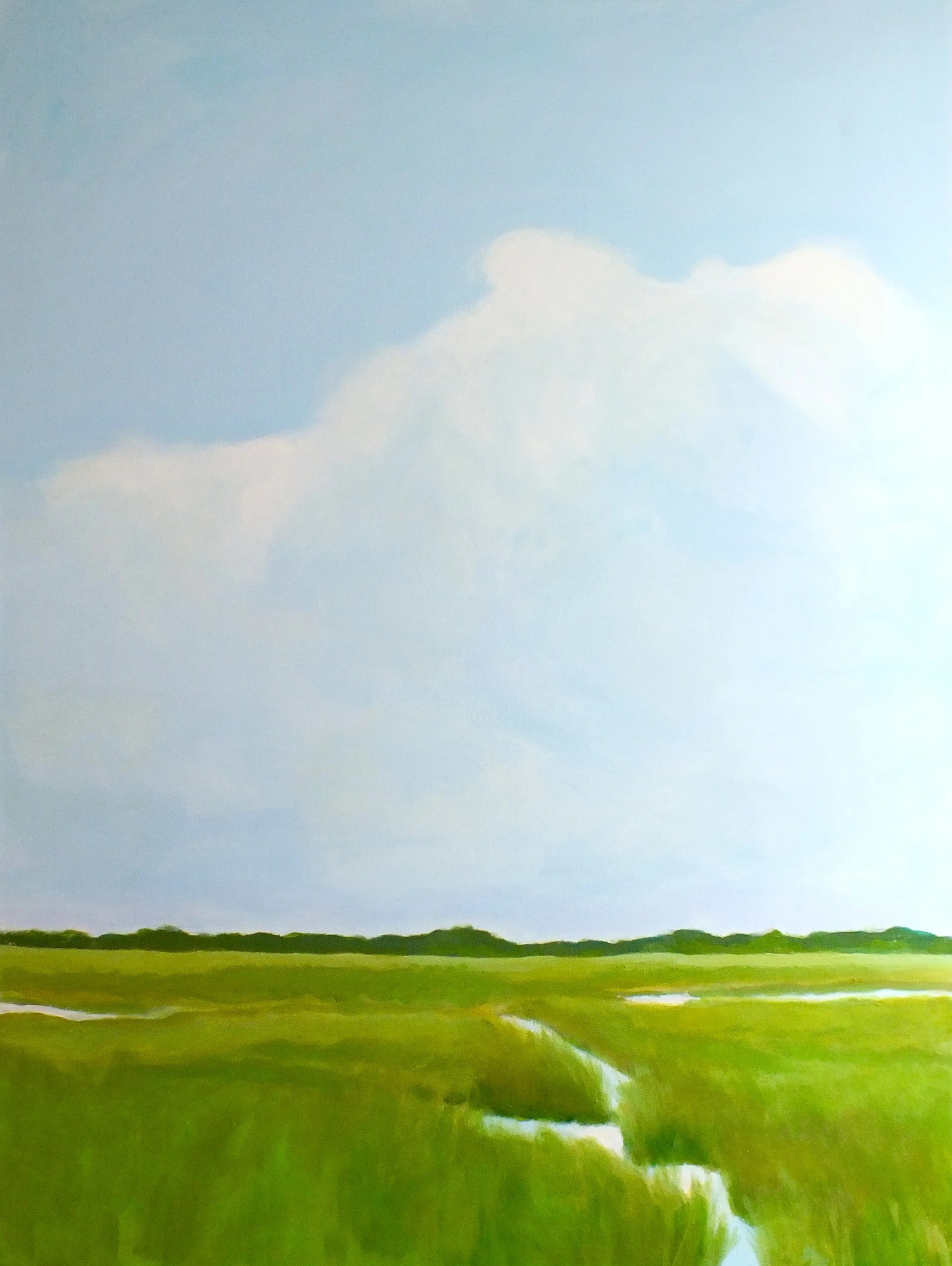 marsh with stream.jpg