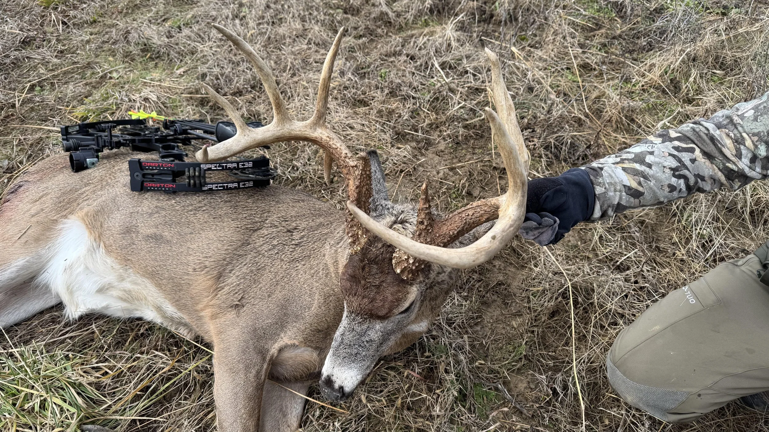 AA Joe T OH Deer DARTON Dec 2024 5.jpg
