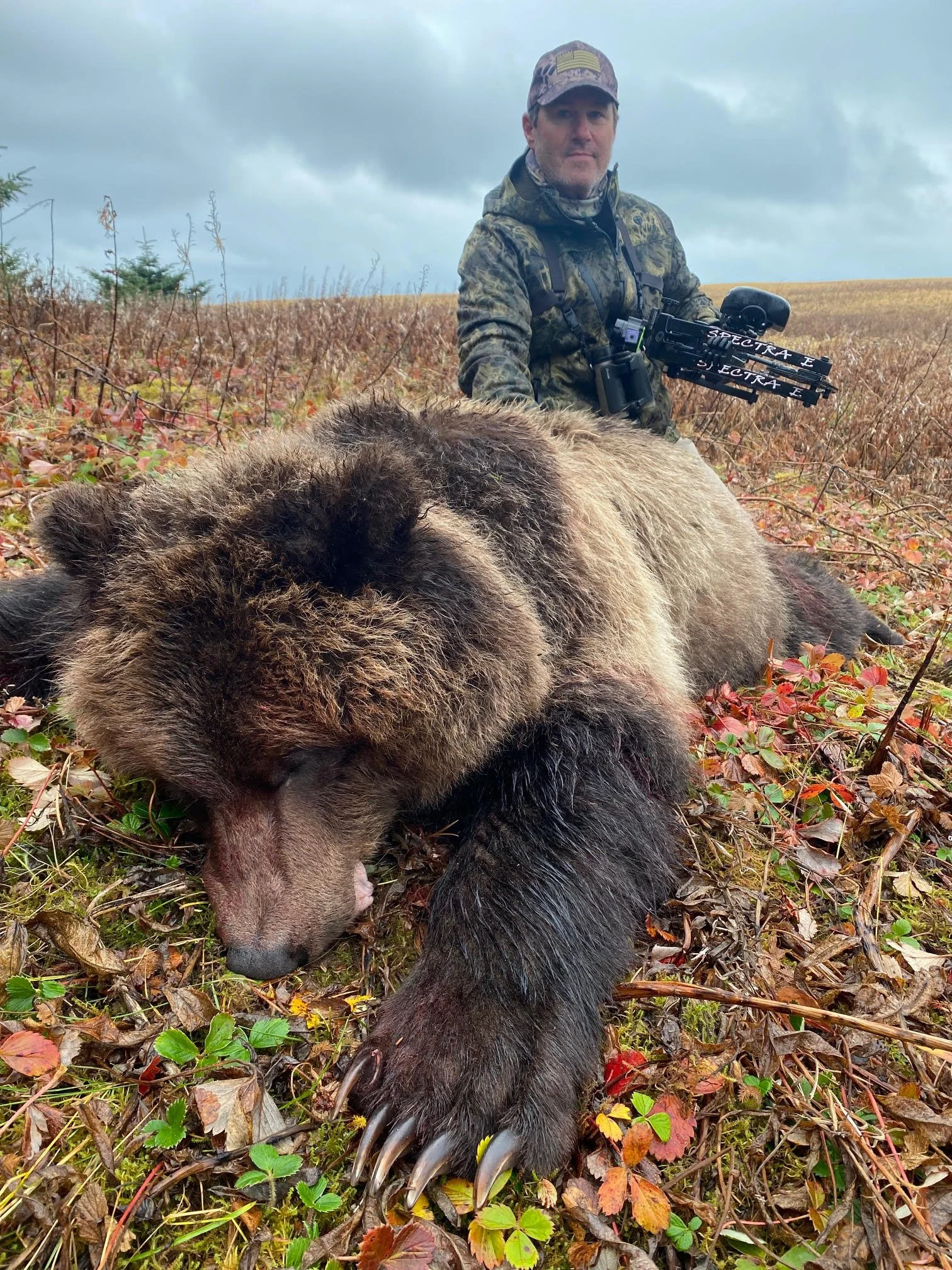 AA Joe T Alaska Brown Bear Sept 2021.jpg