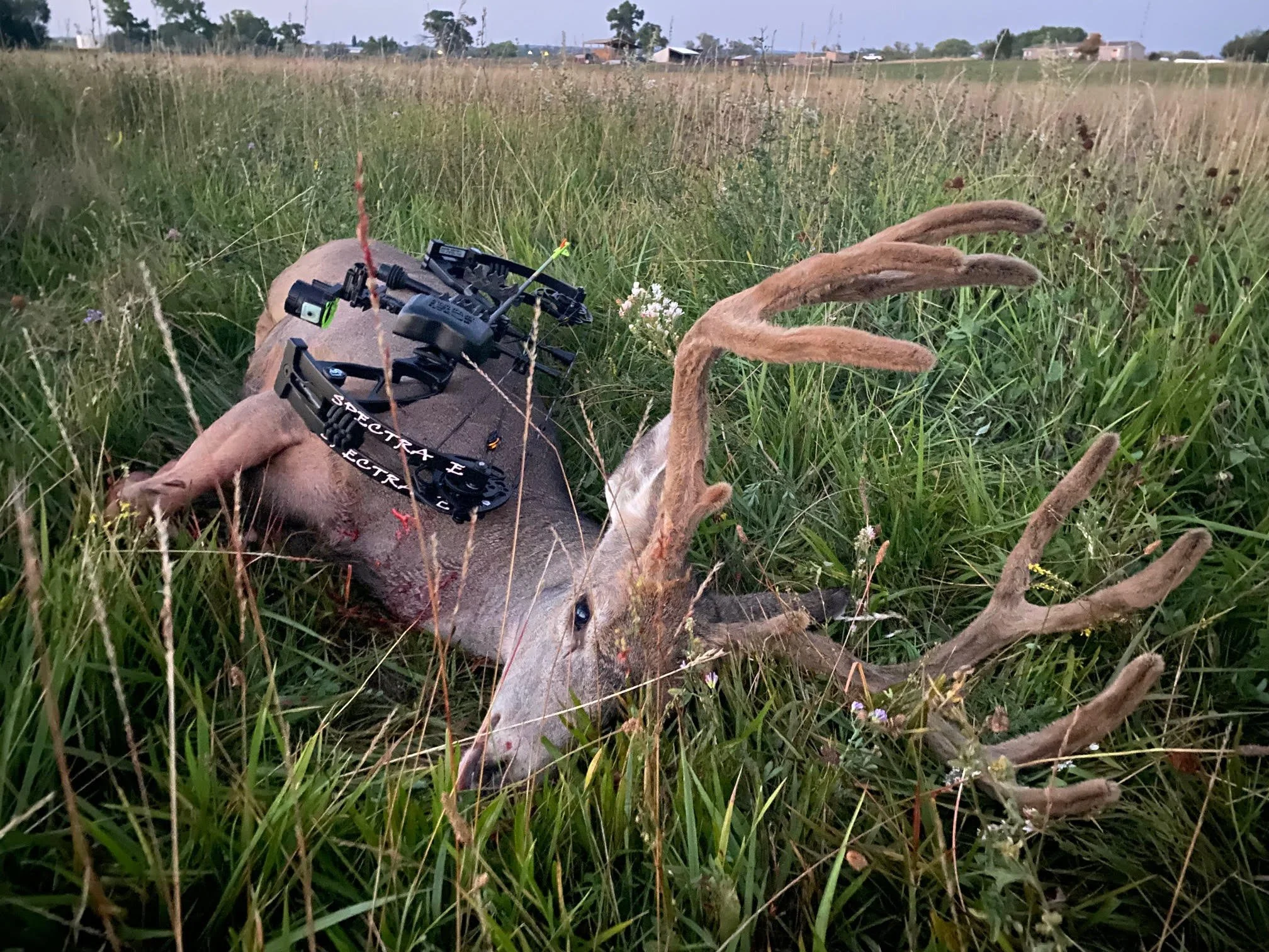 AA Joe Thomas CO Mule Deer 2021.jpg
