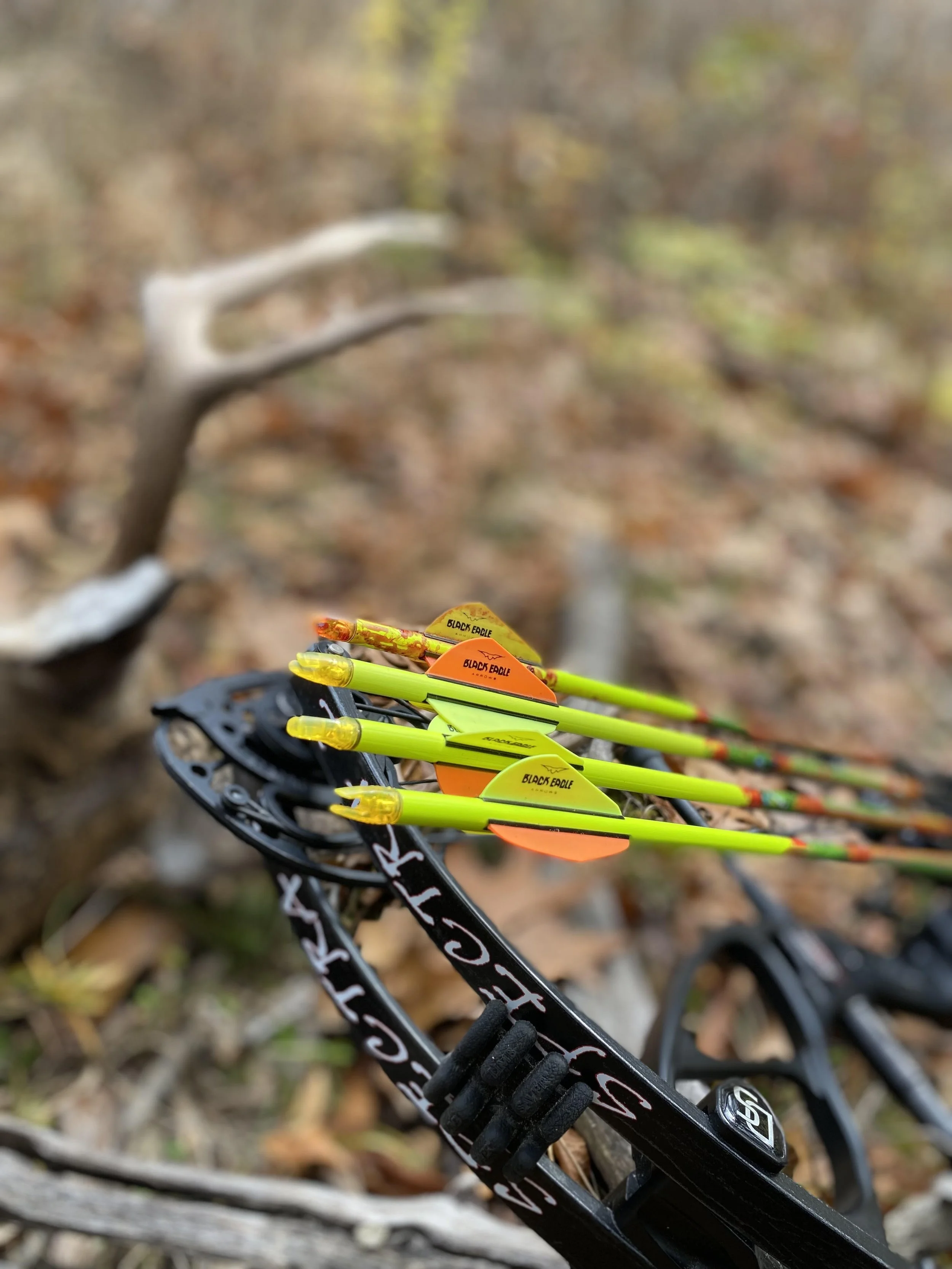 AA Joe Thomas-Iowa Deer 2 2021.jpg