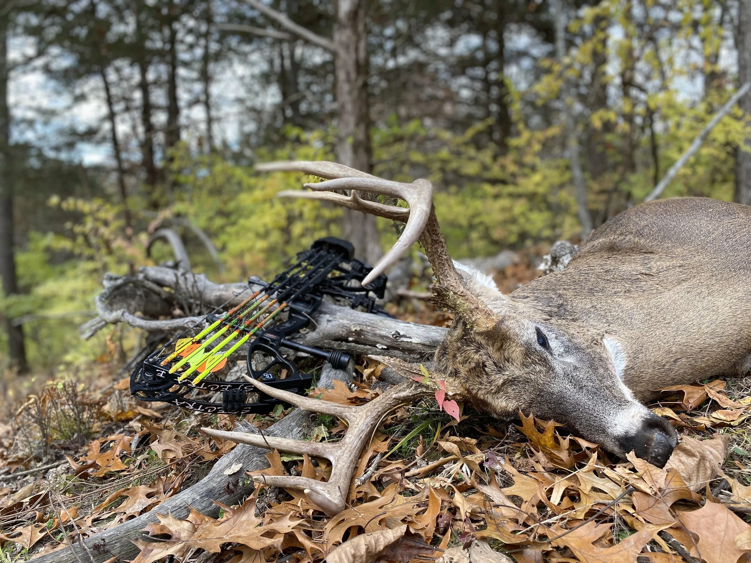 AA Joe Thomas-Iowa Deer 3 2021.jpg
