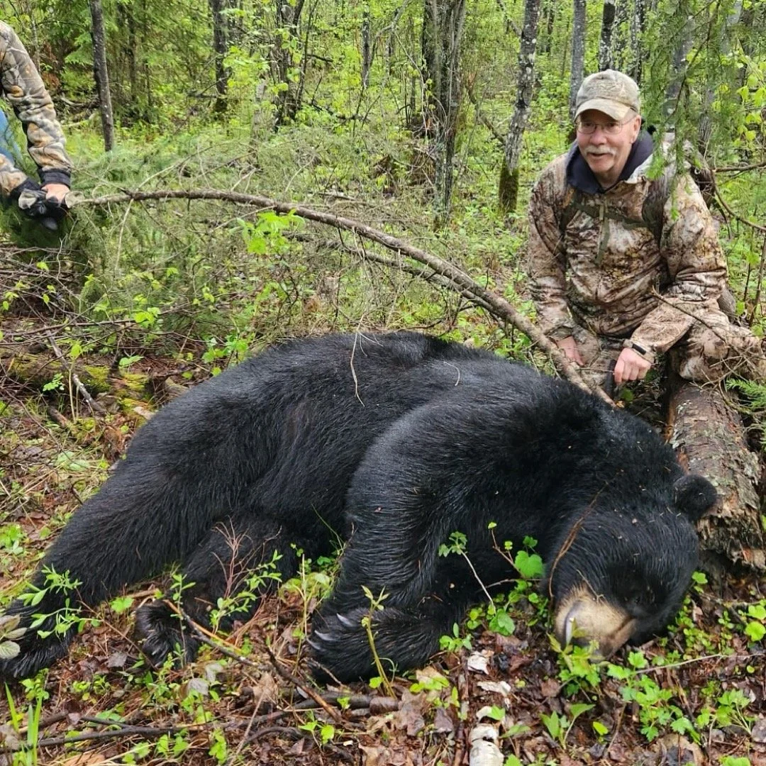 AA TNelson Sask Bear 2024 IMG_7680.JPG