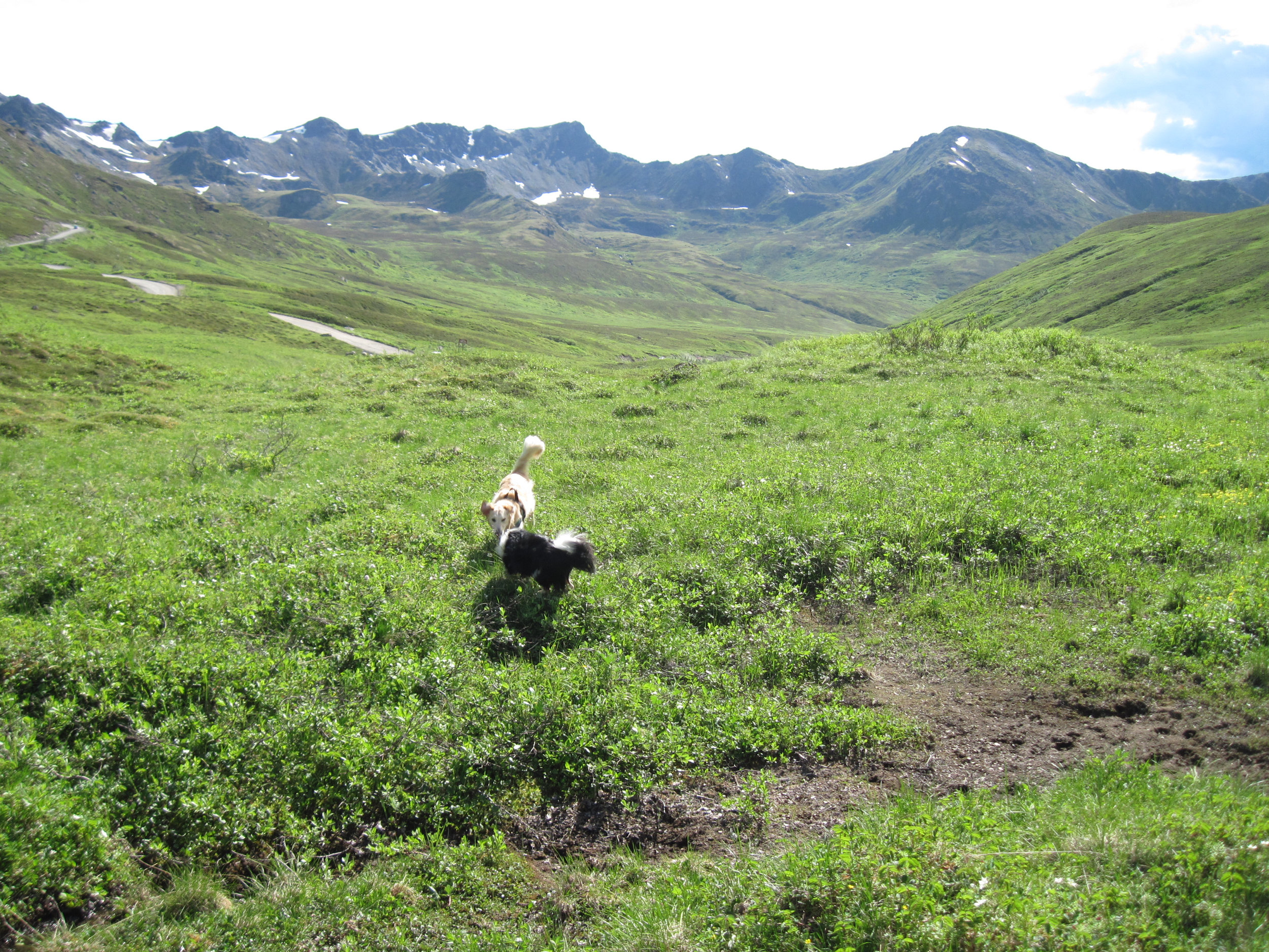 J and L at Hatcher's pass.jpg