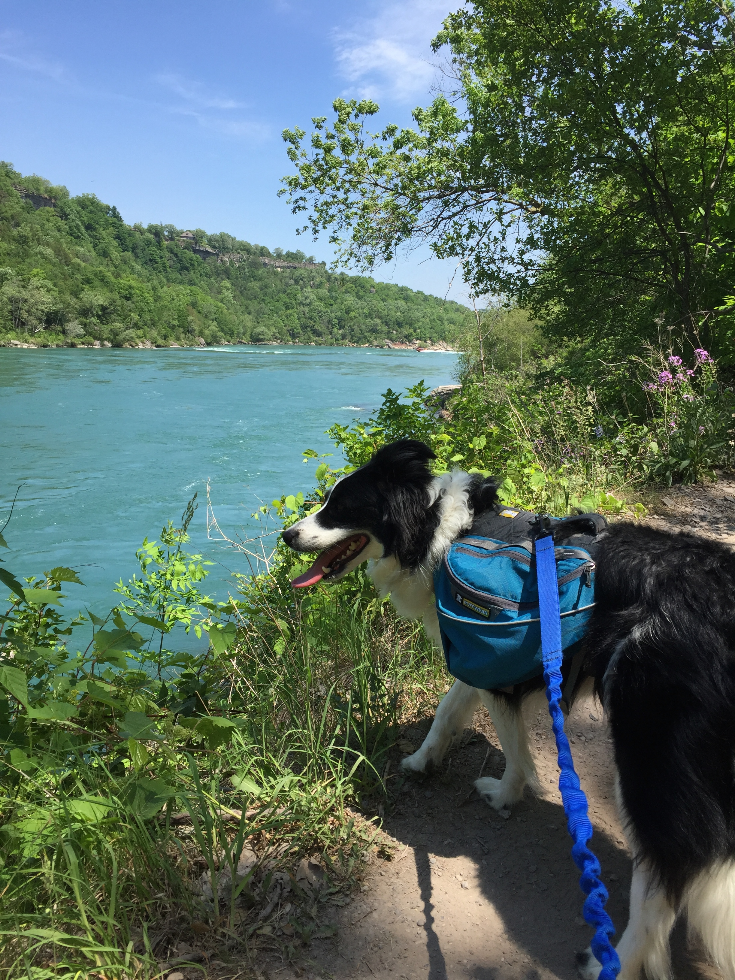 Jill at Niagar River.jpg